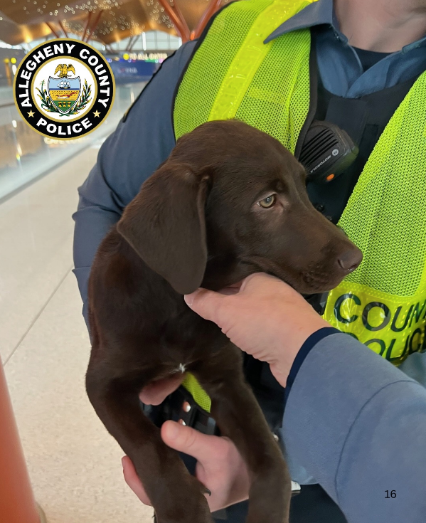 'This gorgeous babe will now beryllium shown what emotion is', according to 1 remark connected Facebook