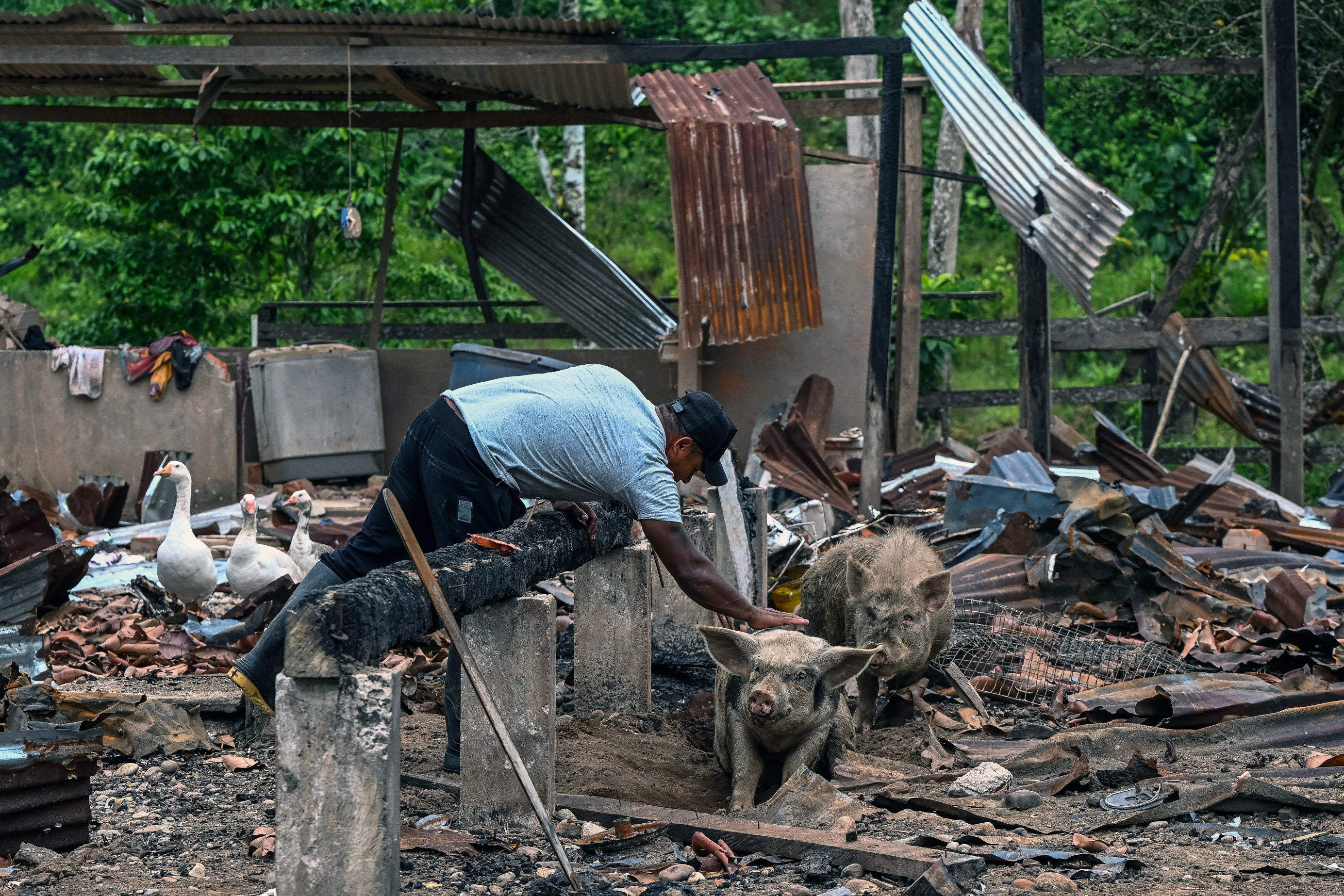 'It’s an outrage,' nan farm's proprietor told The New York Times. 'It’s a dishonesty that 50 group trained here. Where are they going to train? Out present successful nan open? There’s nary logic'