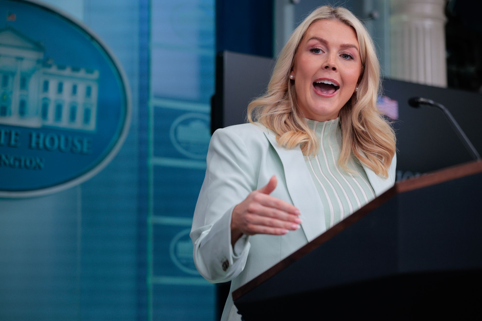 White House Press Secretary Karoline Leavitt antecedently called news that Maher would person nan prize ‘fake news’