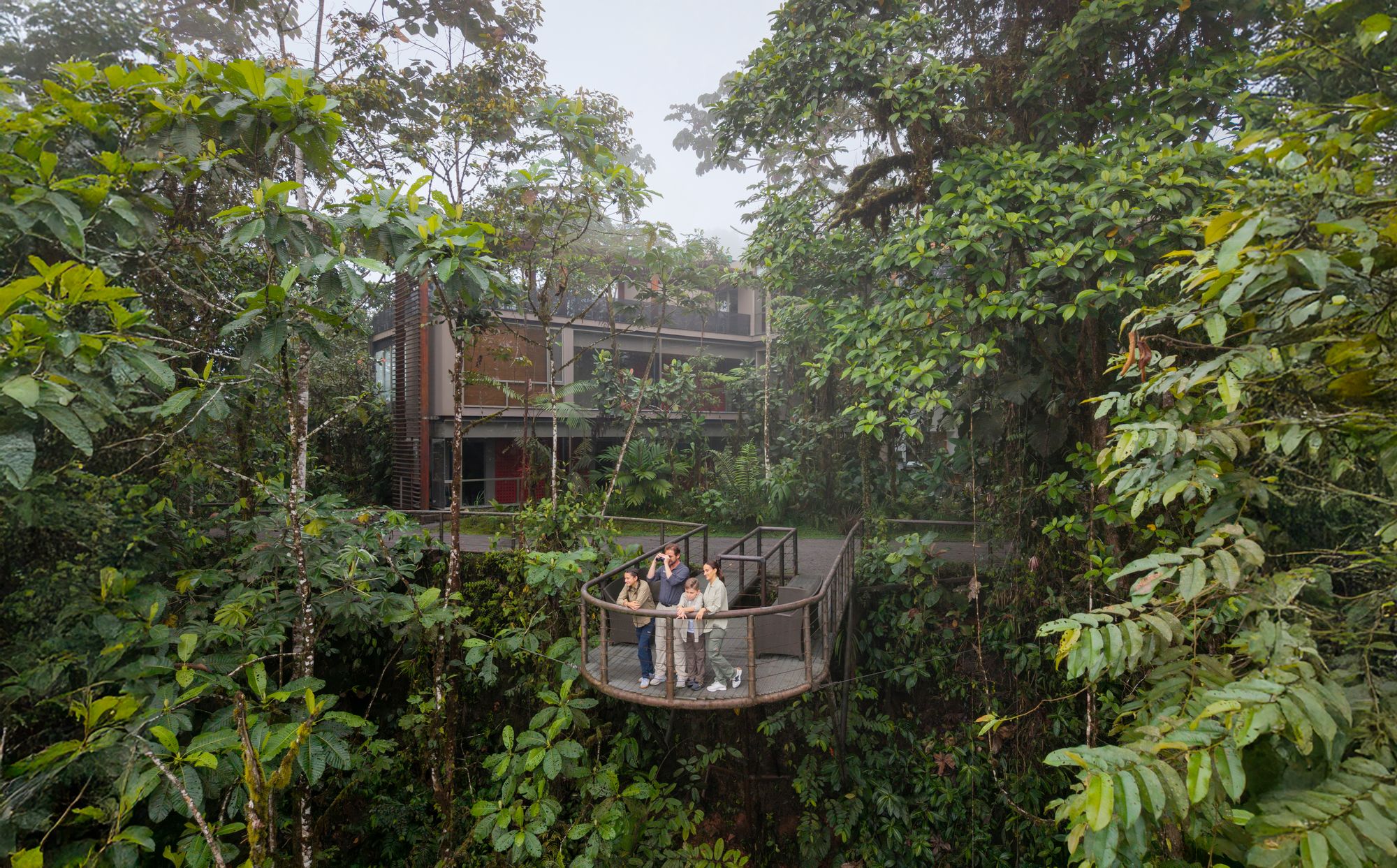 Wander among the treetops for a truly immersive trip