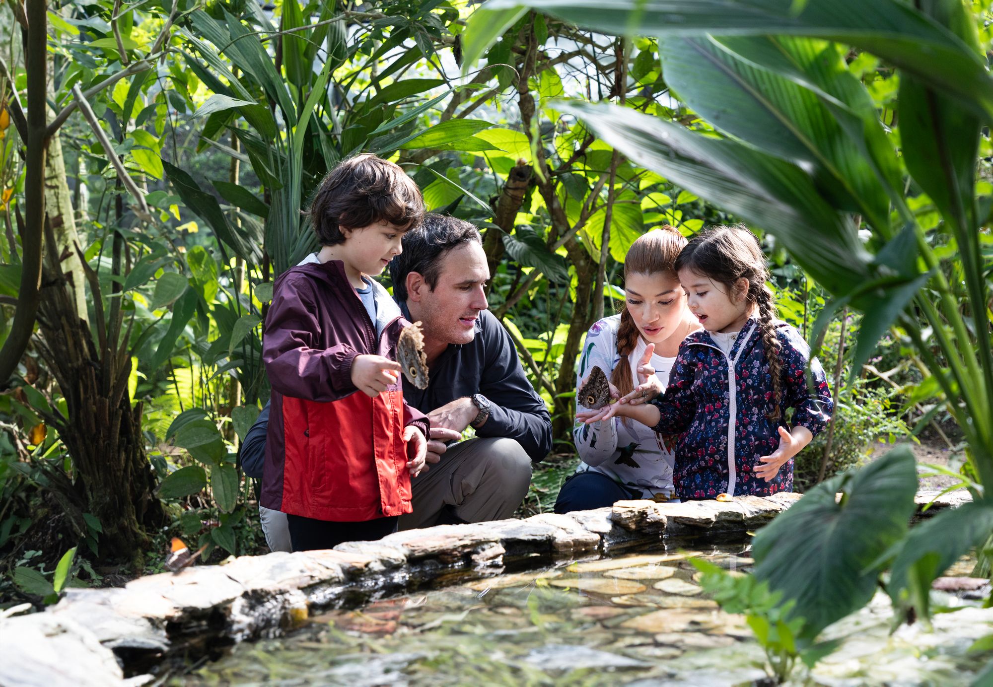 Head to the on-site Butterfly Farm to make some fluttery friends