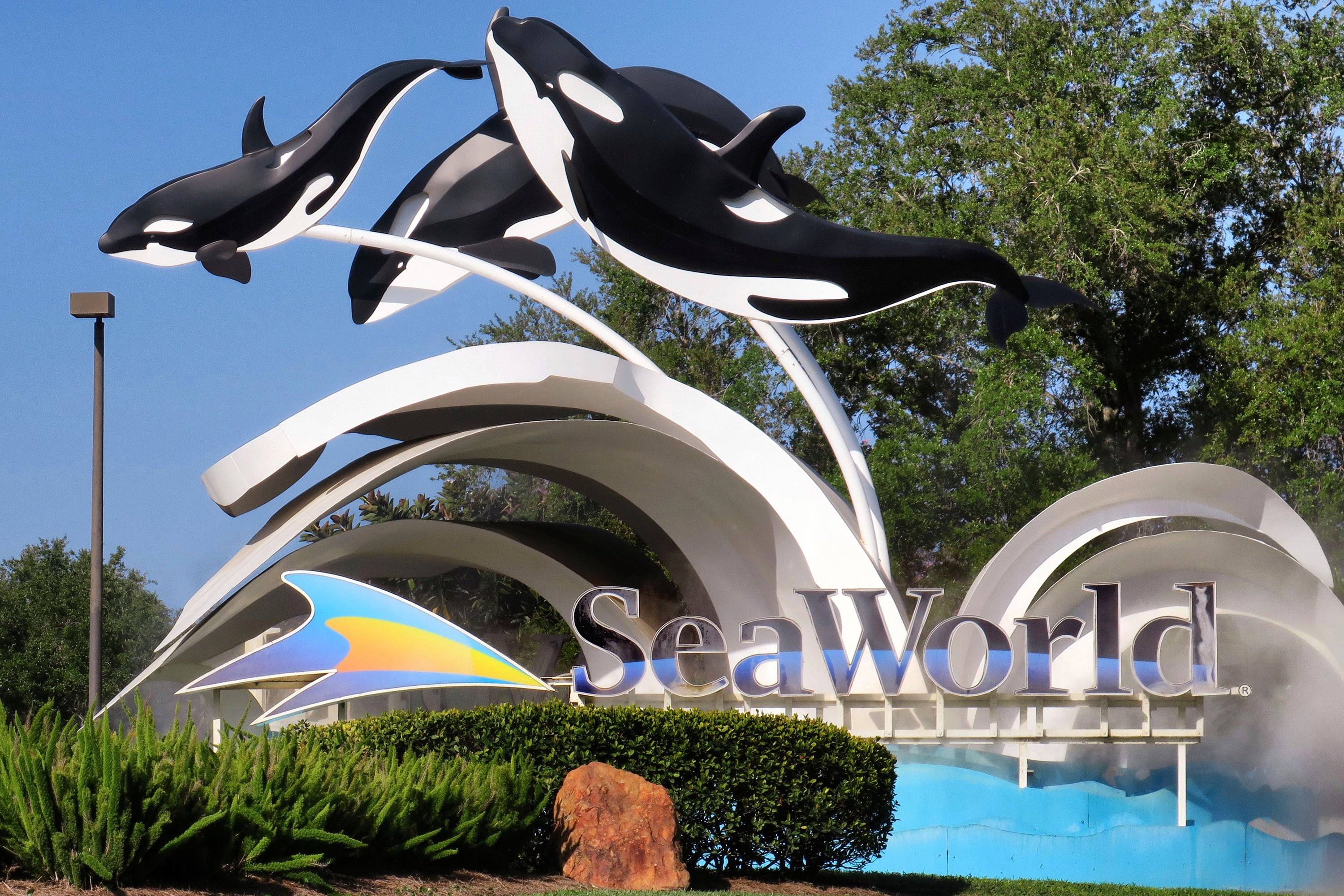 Federal prosecutors are challenging SeaWorld’s declare that its replacement mobility options and free seatless walker rentals meet nan ineligible requirements of nan ADA