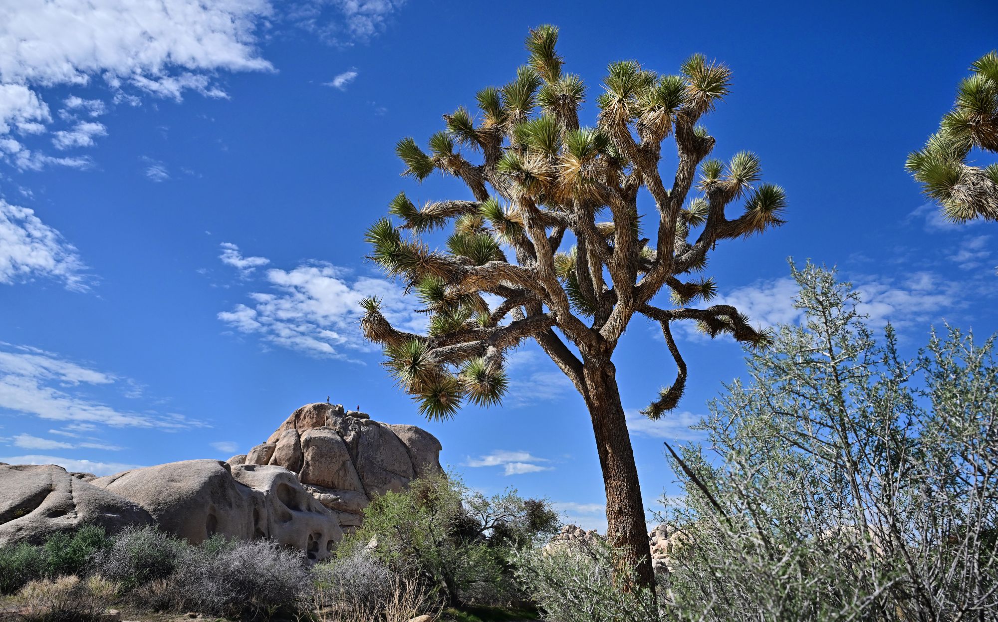 Activists outraged after mining company announces plans to dig for rare earth elements next to US National Park
