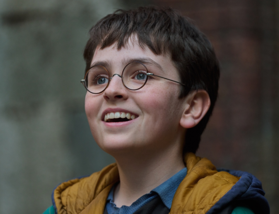 Dominic McLaughlin como Harry Potter