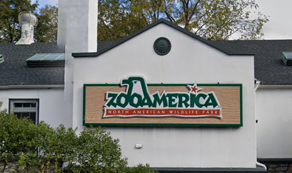 Toddler injured after sticking hand into wolf enclosure inside Pennsylvania zoo