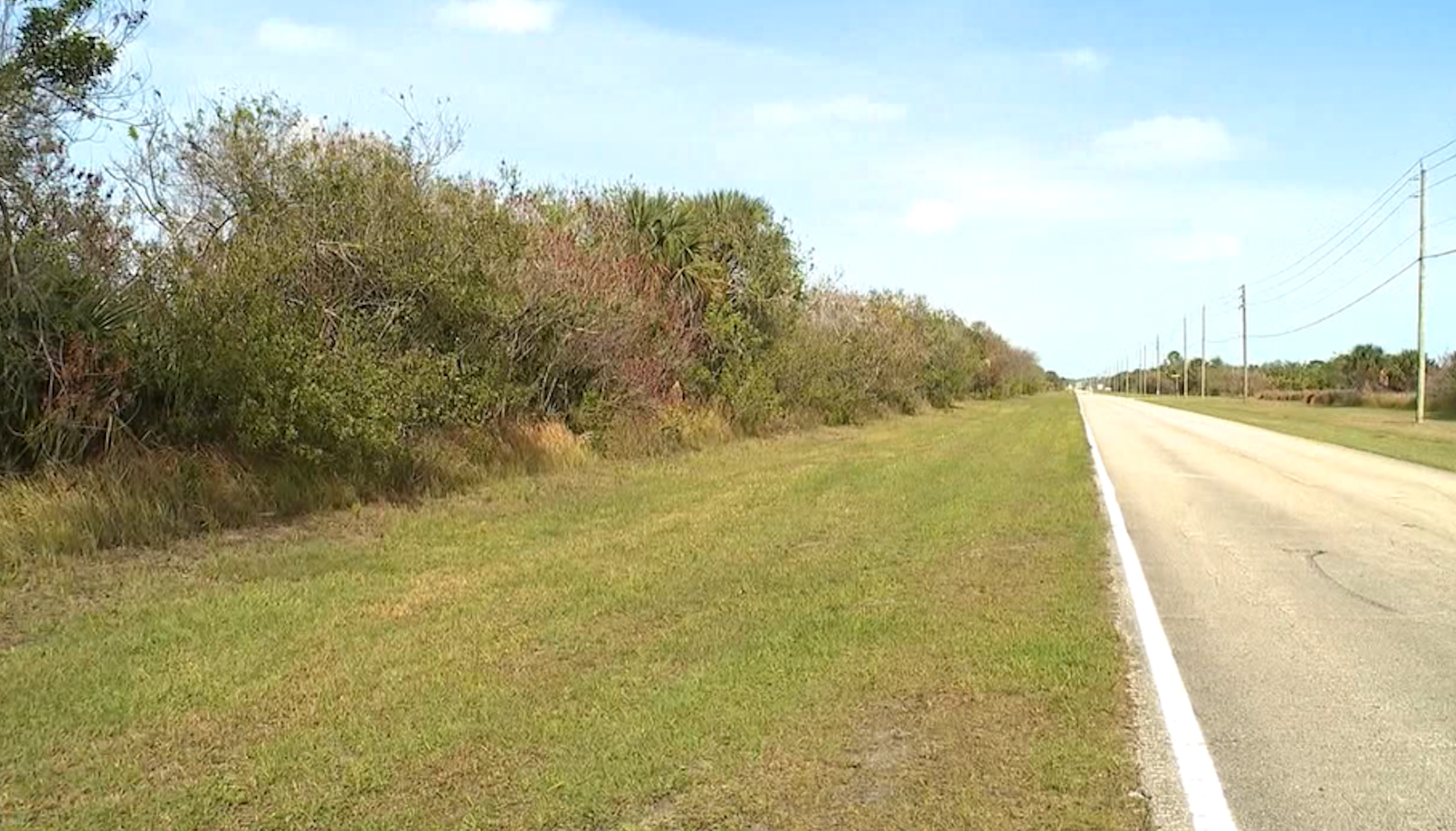 His were discovered wrong a suitcase abandoned successful an undeveloped area known locally arsenic 'The Compound'