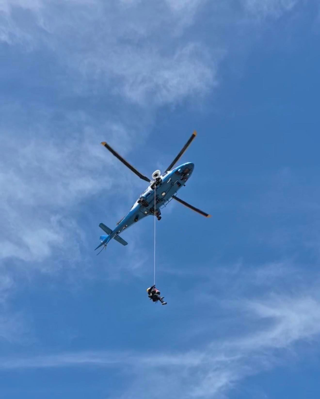 Hiker fighting for life after getting stung by bees over 100 times