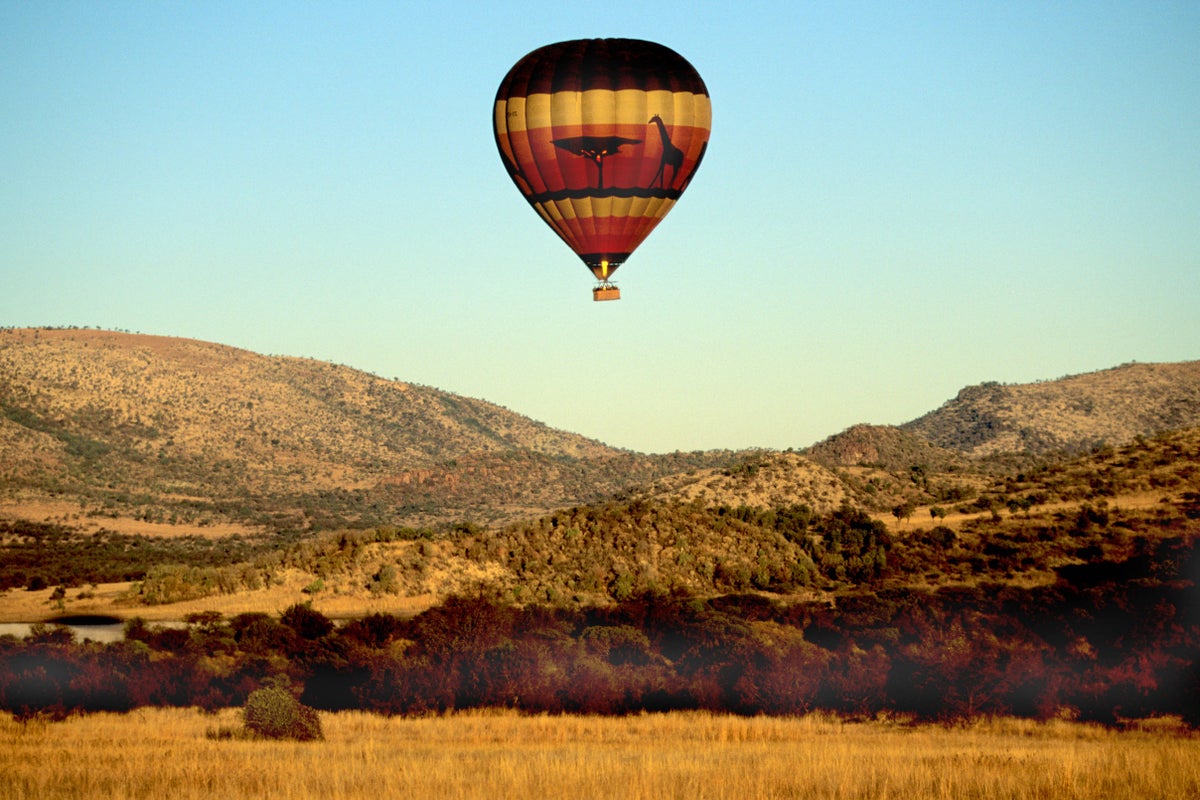 Hot air balloon with 13 onboard makes emergency landing in backyard thanks to ‘masterful’ pilot
