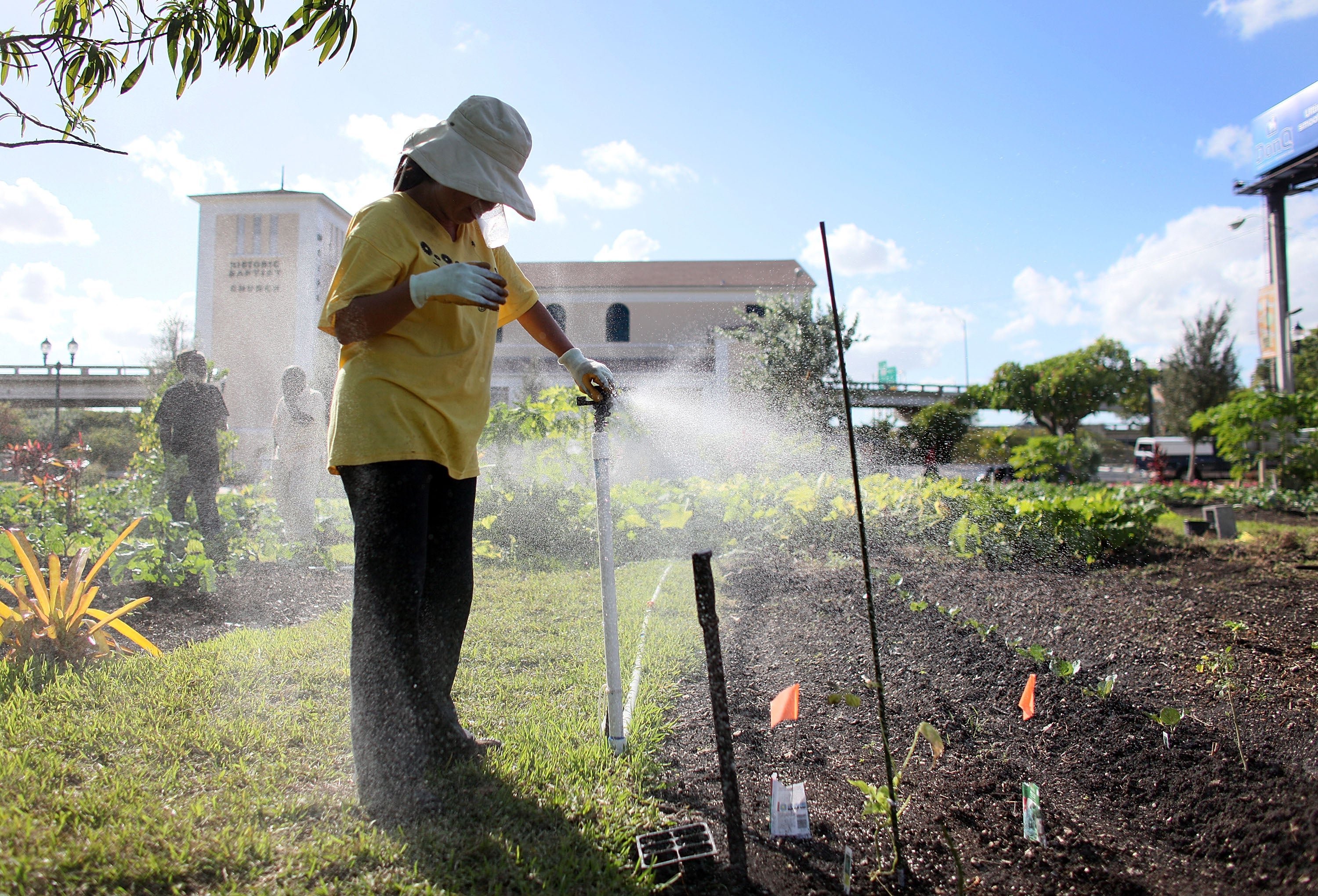 It’s the spring growing season once again - but experts say gardening can do more for you than just stock your pantry