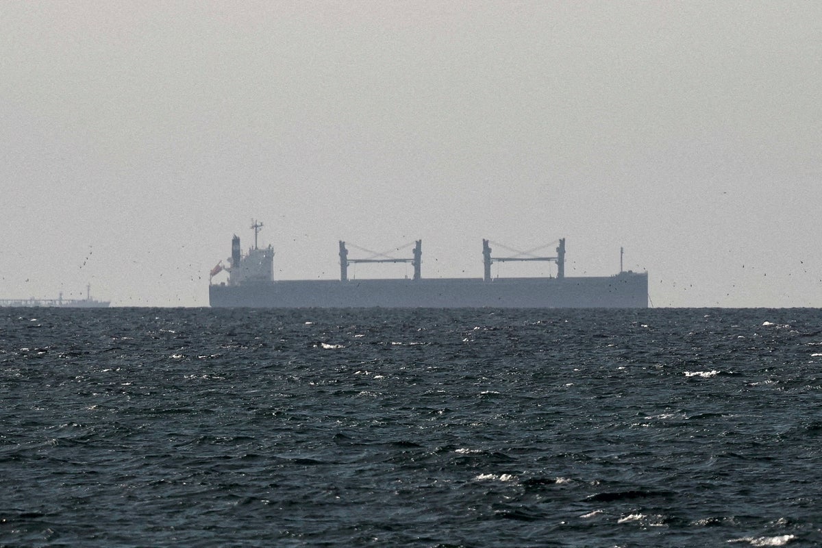 Trump says charging countries to use Strait of Hormuz could be ‘joint venture’ with Iran: ‘It’s a beautiful thing’