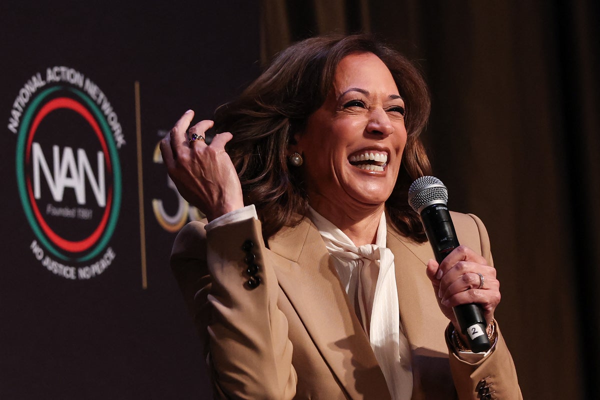 Kamala Harris shows interest in 2028 presidential run ‘I am thinking about it’