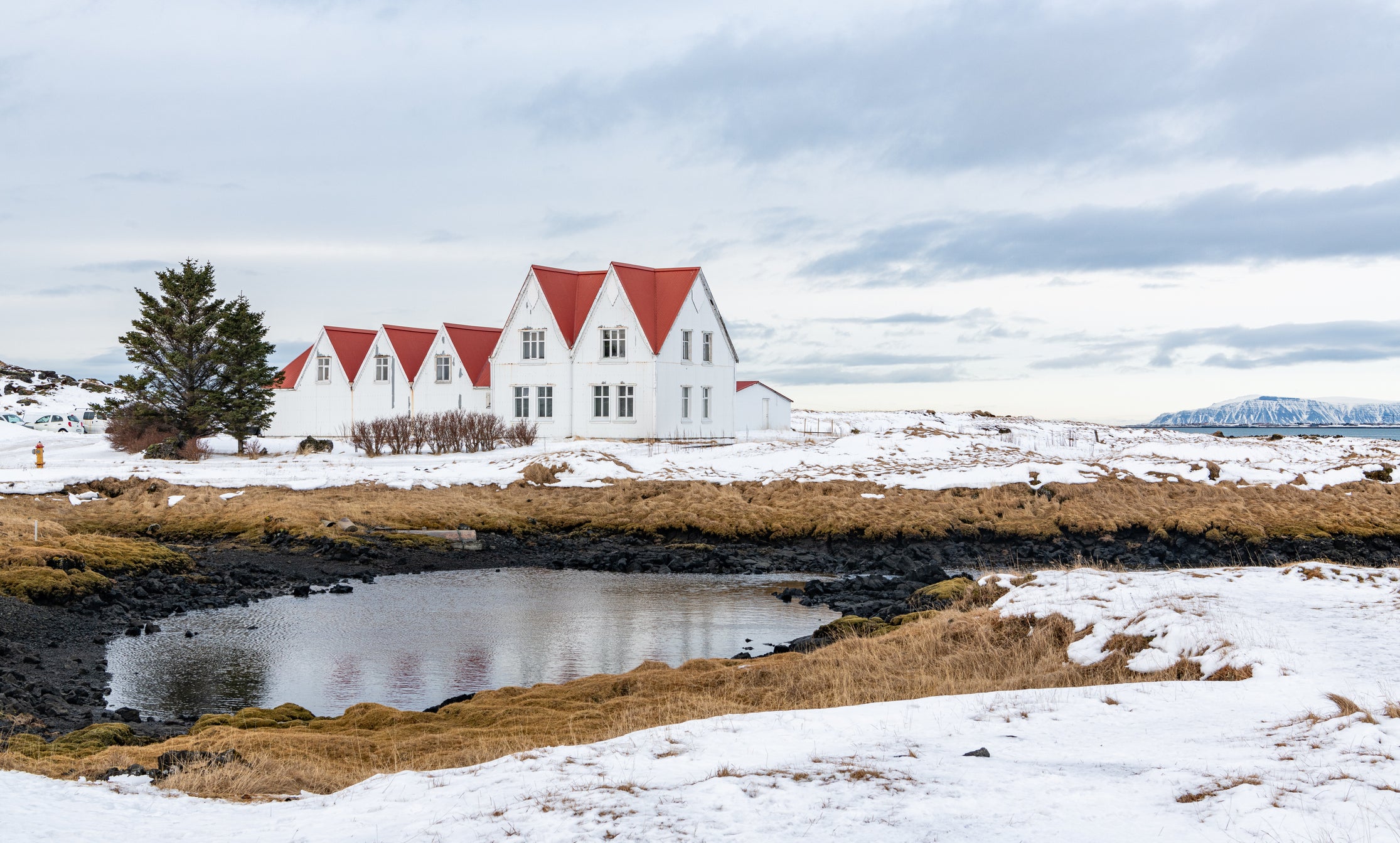 Björk to host ‘eclipse rave’ in Iceland this summer