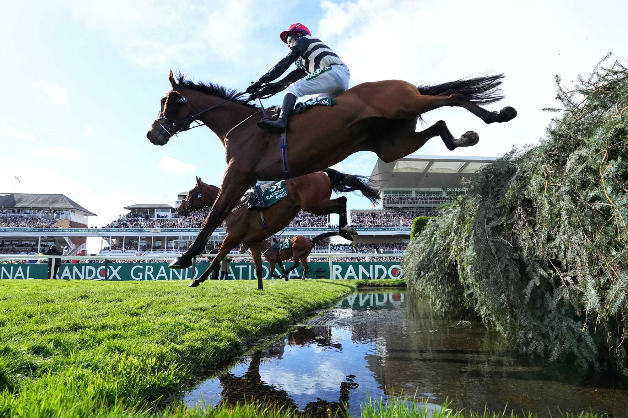 Grand National medical updates issued on three horses who failed to finish the race