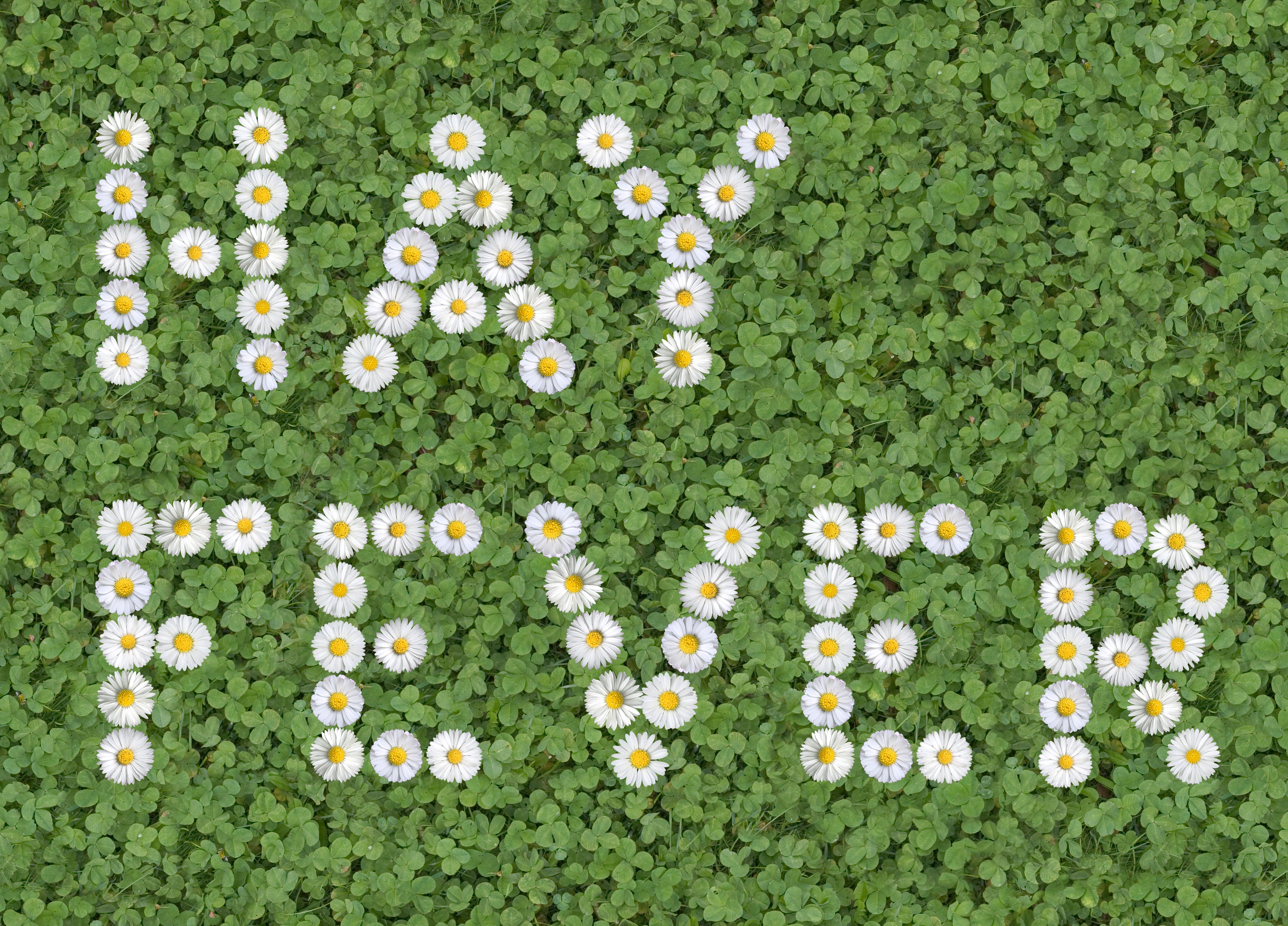 Hay fever often impacts people at night