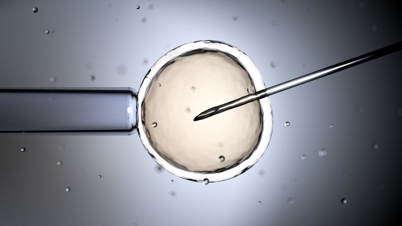 IVF patients are alleging they were misled about a type of genetic testing by two New Jersey companies, according to a series of lawsuits