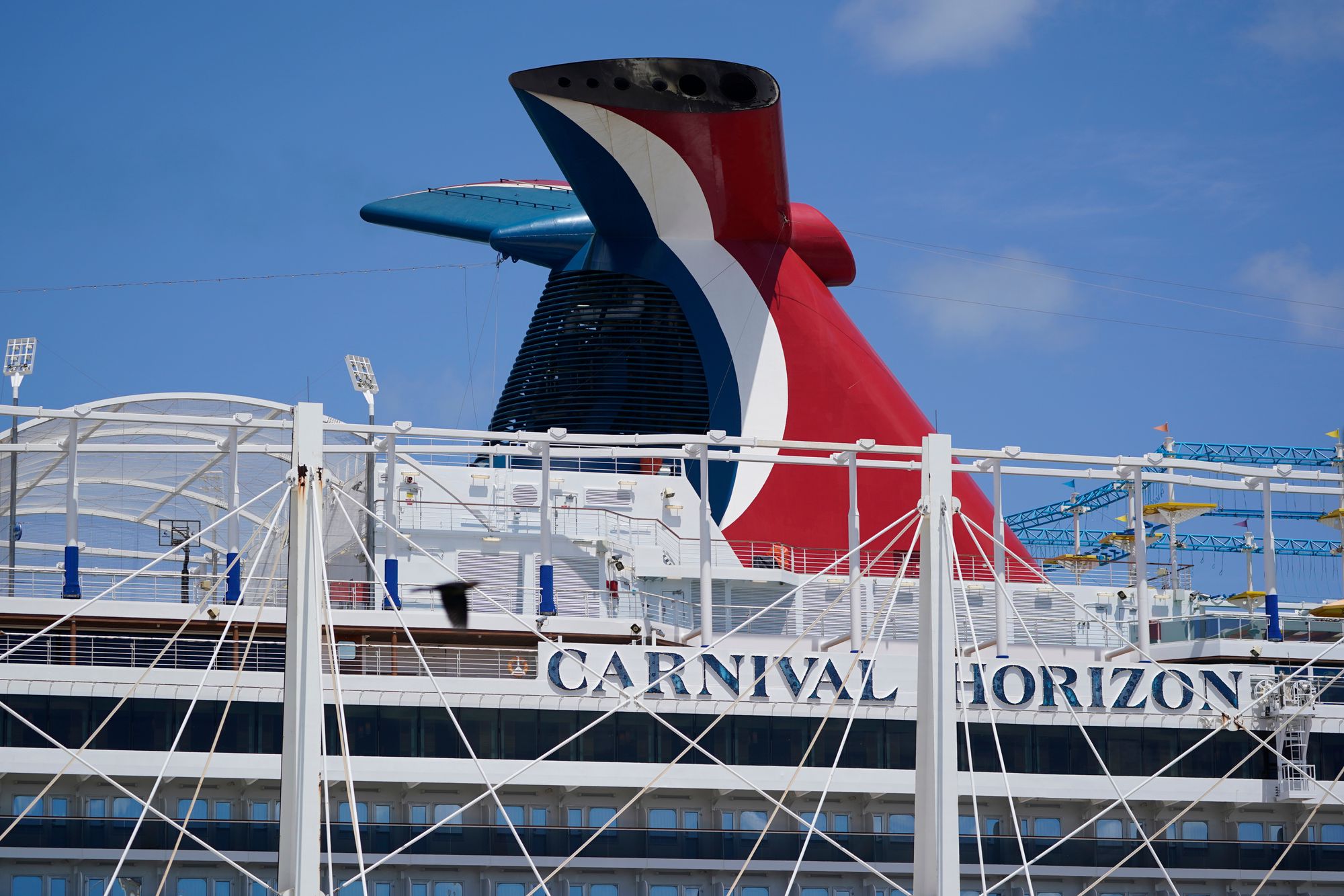 The teenage boy ‘allegedly sexually assaulted and intentionally killed’ his stepsister on a cruise vacation last November, according to federal prosecutors