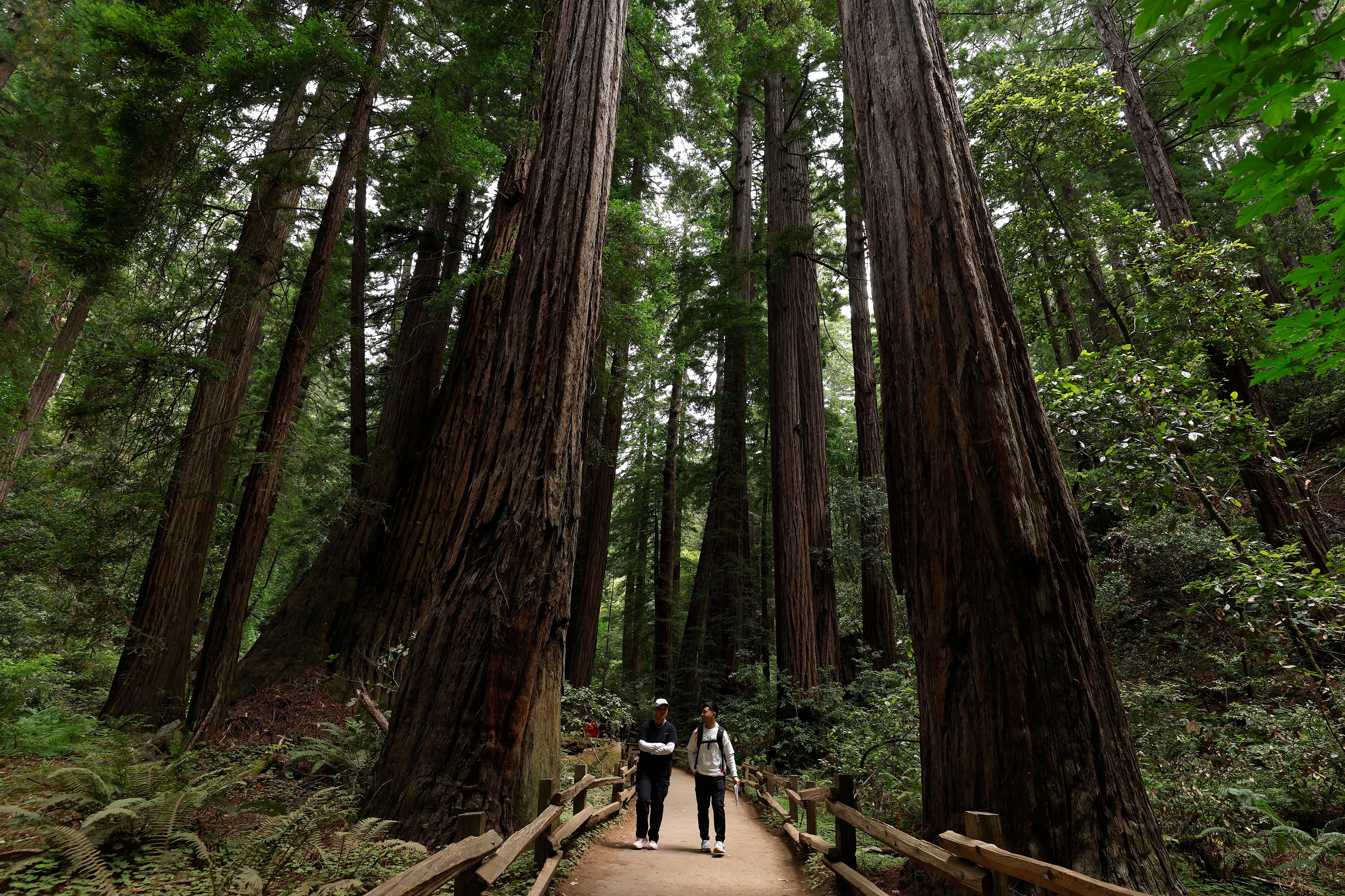 The study’s findings build on past research showing the importance of connectedness to nature