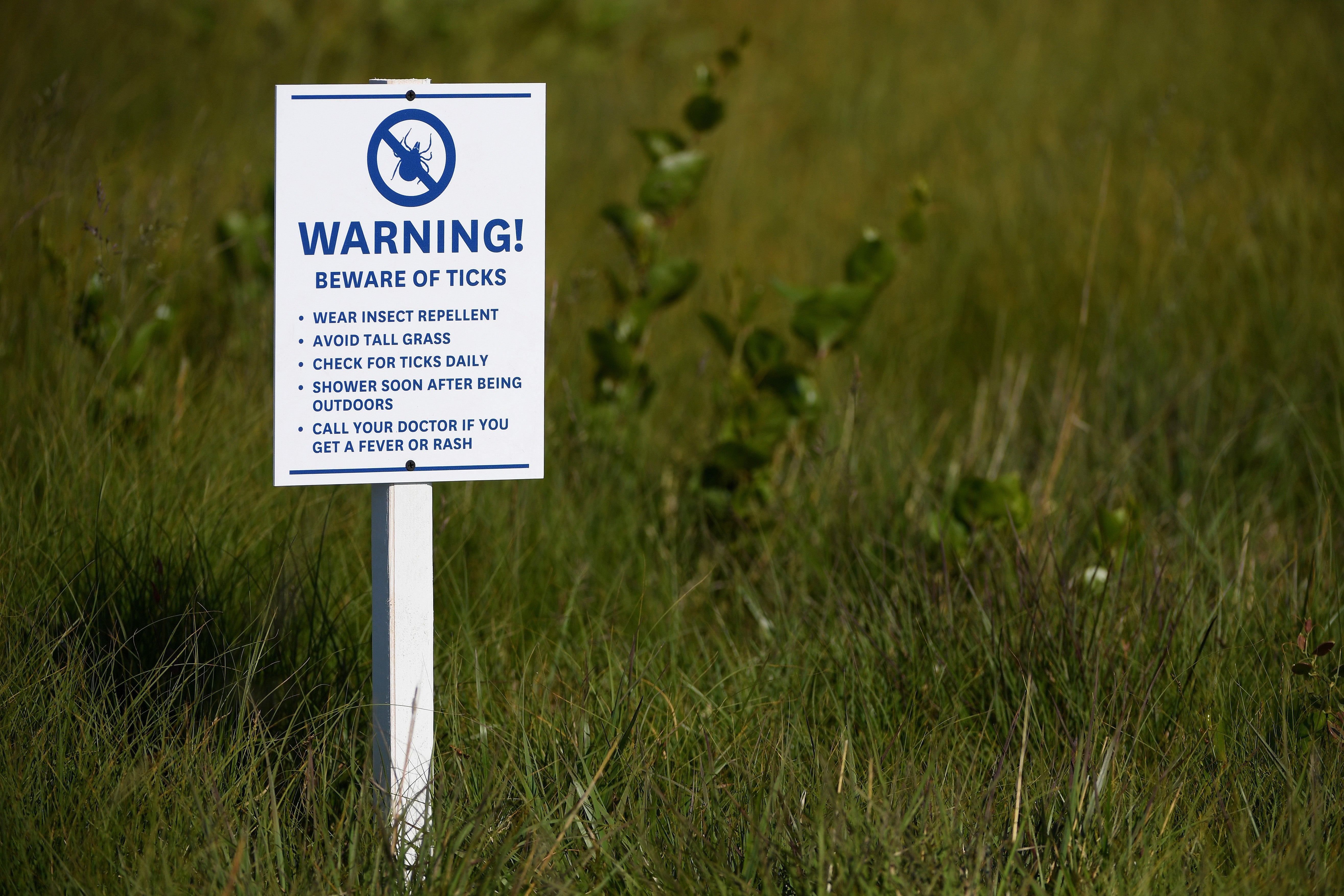 Ticks tin still beryllium progressive during nan wintertime months