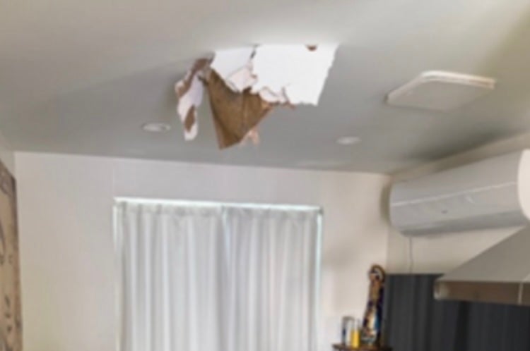 While nary 1 was injured successful nan incident, which happened past Friday morning, Los Angeles County Supervisor Janice Hahn was concerned astir what she called a ‘serious nationalist safety’ threat and urged nan FAA to unfastened an investigation into nan matter