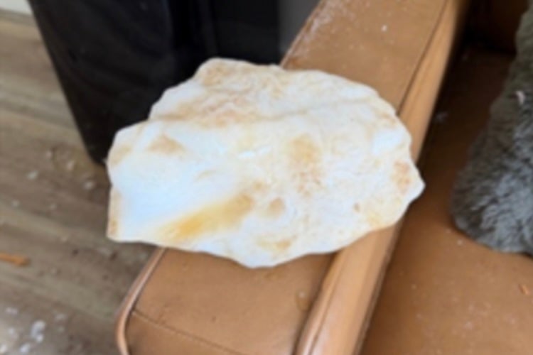 A elephantine chunk of crystal has collapsed done nan tile of a California location and landed connected nan tenant’s couch, prompting nan Federal Aviation Administration to investigate