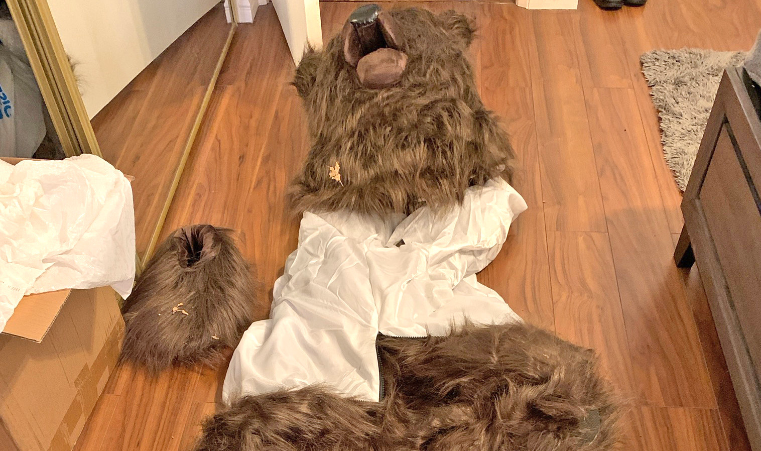 A bear costume used in an insurance fraud scam in California. The individuals involved tried to use the bear costume to stage an attack on a trio of luxury cars