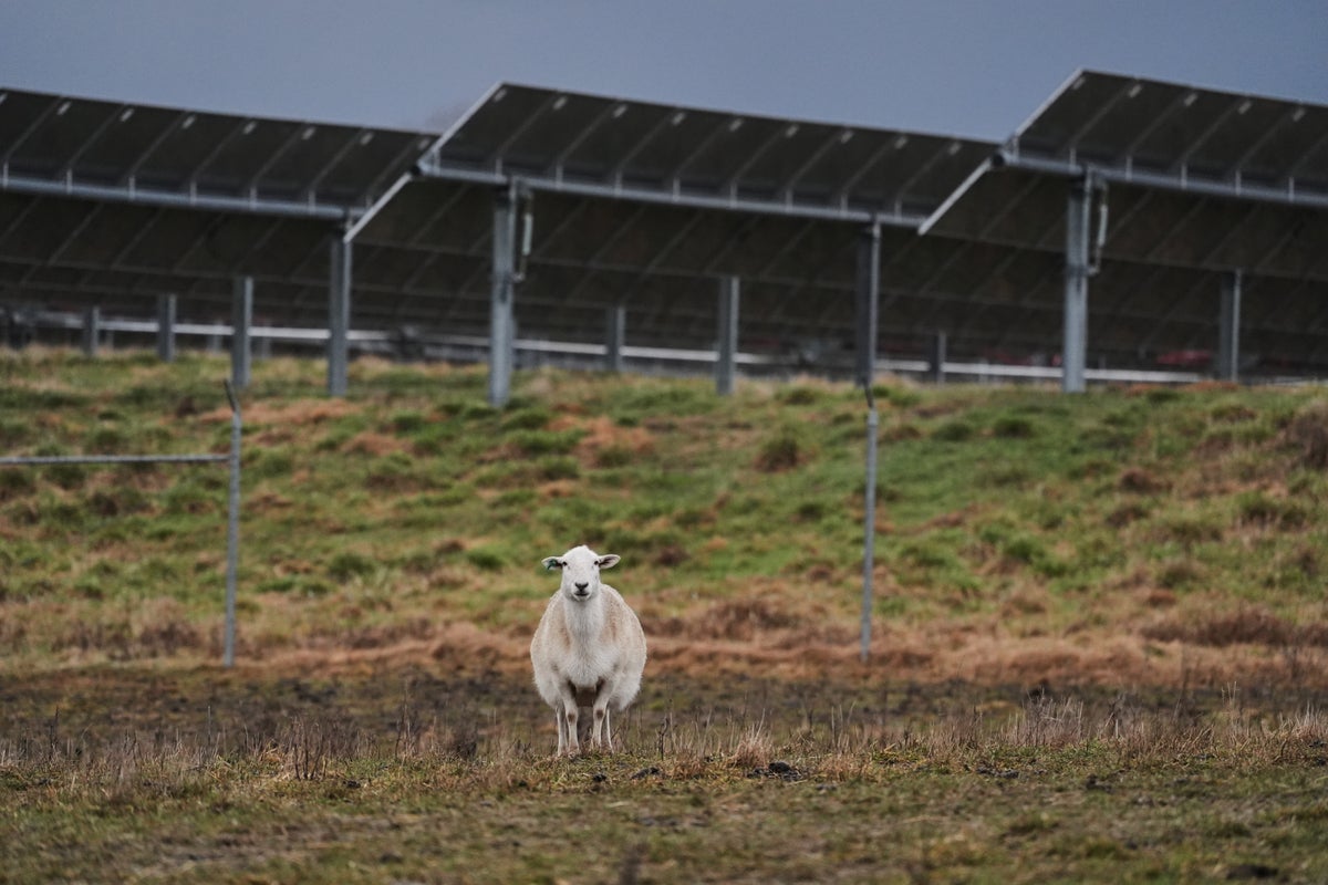 Some American farmers bet on solar. Then Trump changed the rules
