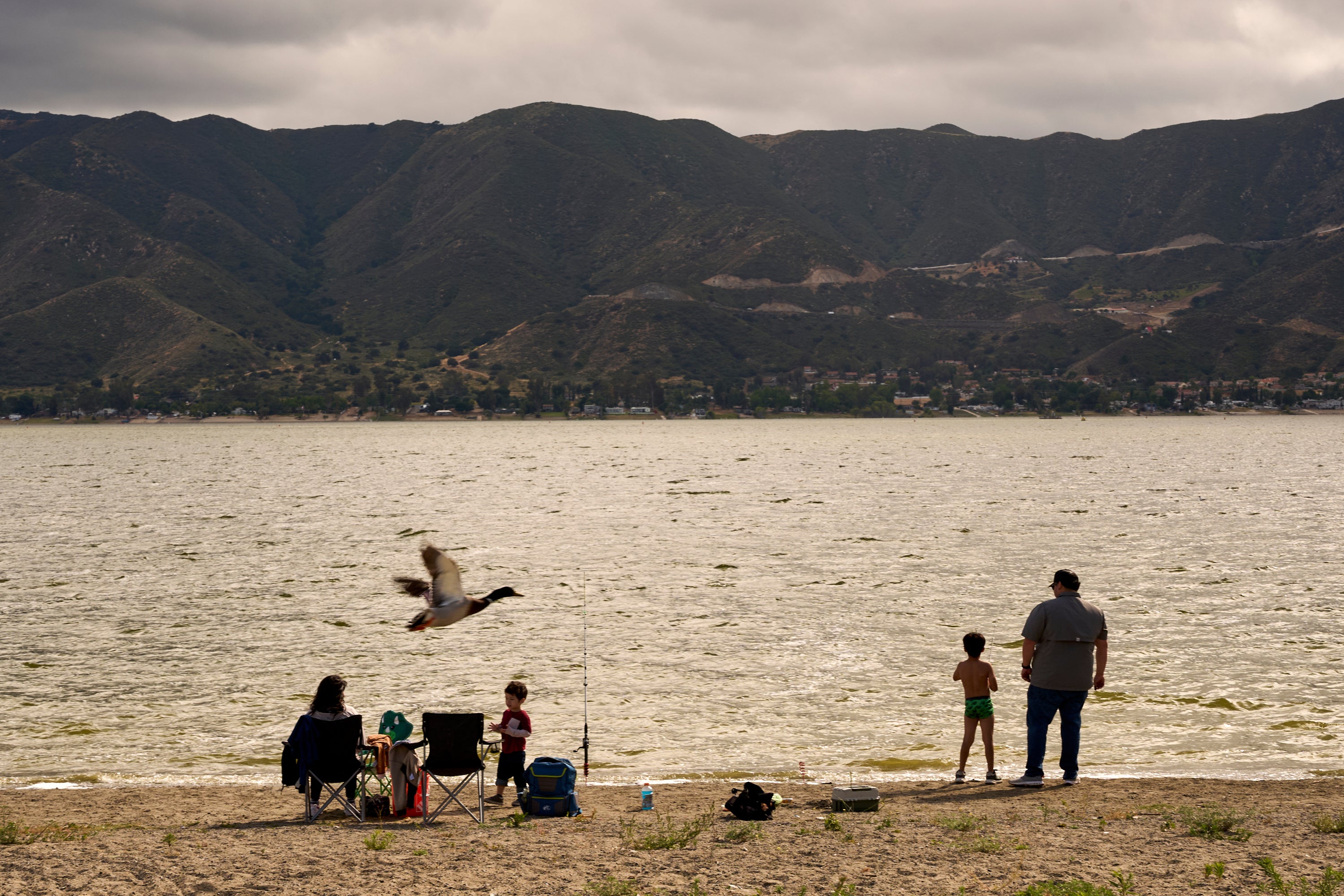Wiskers Fishing Beach in Lake Elsinore