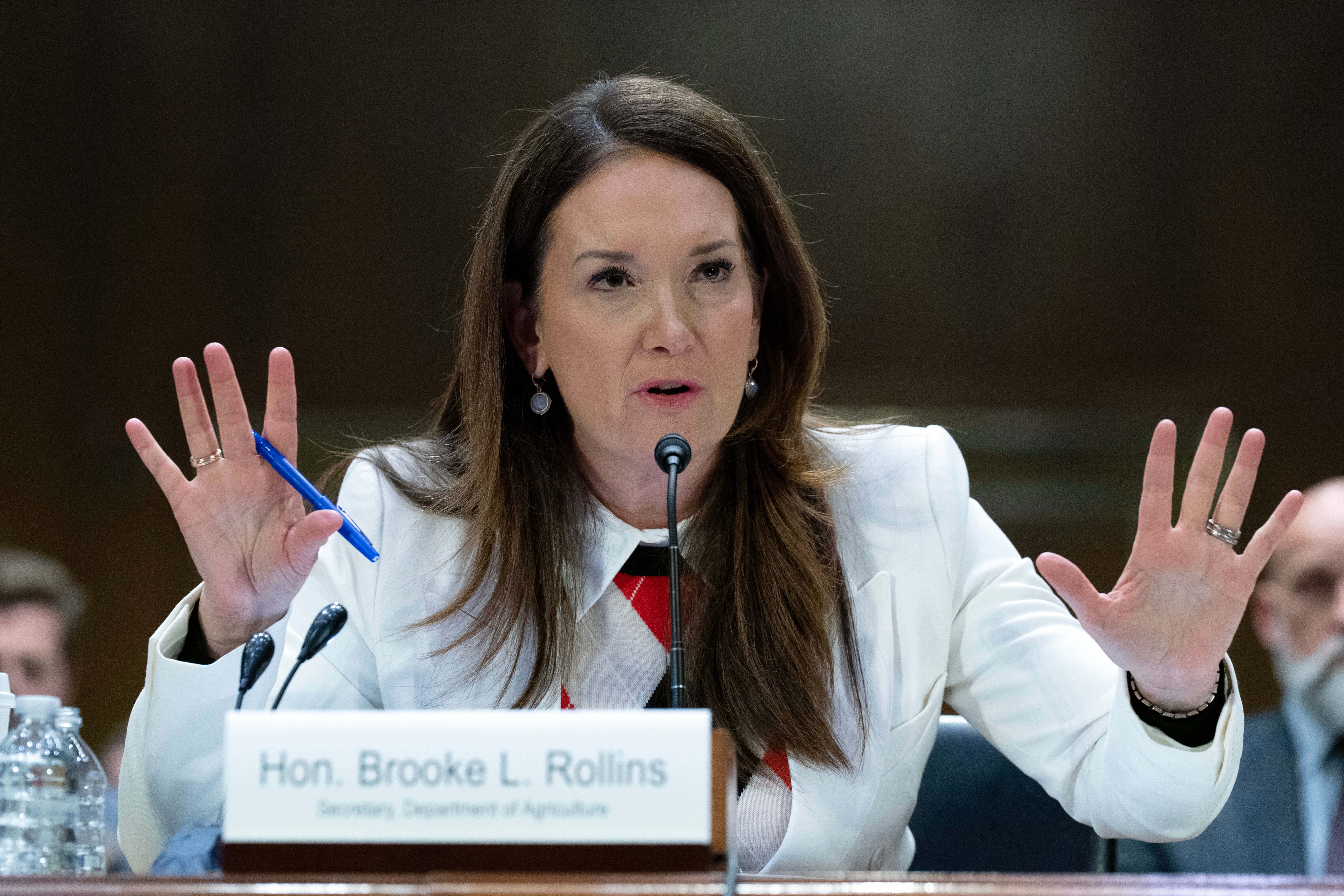 Agriculture Secretary Brooke Rollins’ department insisted her foreign trips had helped ‘ease trade barriers’ in ‘key markets’