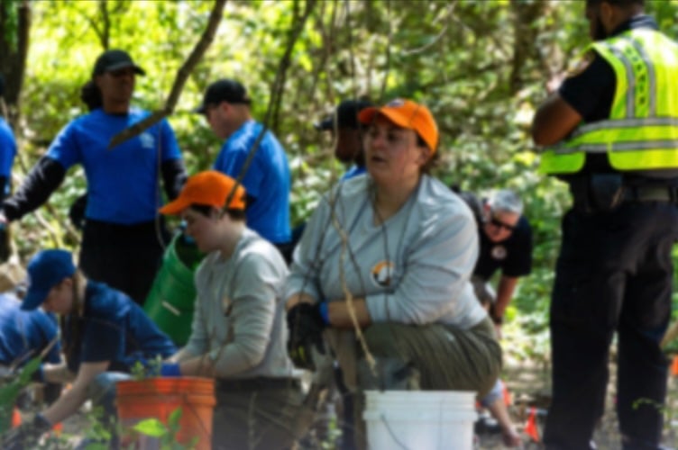 The remains of three young children have been found in a wooded area in Memphis, with police suspecting the bones had been hidden for years