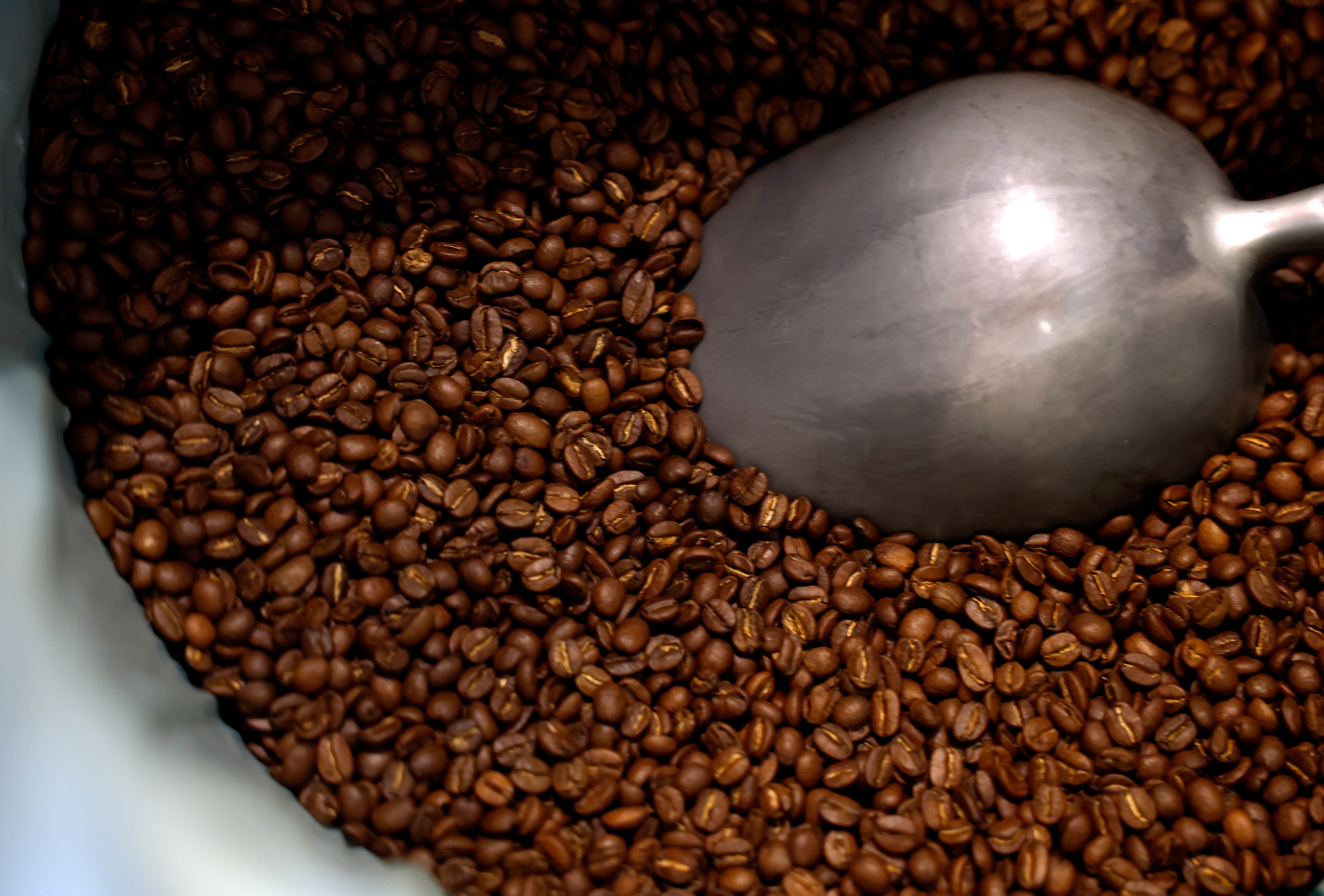 Trader Joe’s deceived customers into believing its French Roast Low Acid full legume java had importantly much caffeine than it did, nan suit alleges