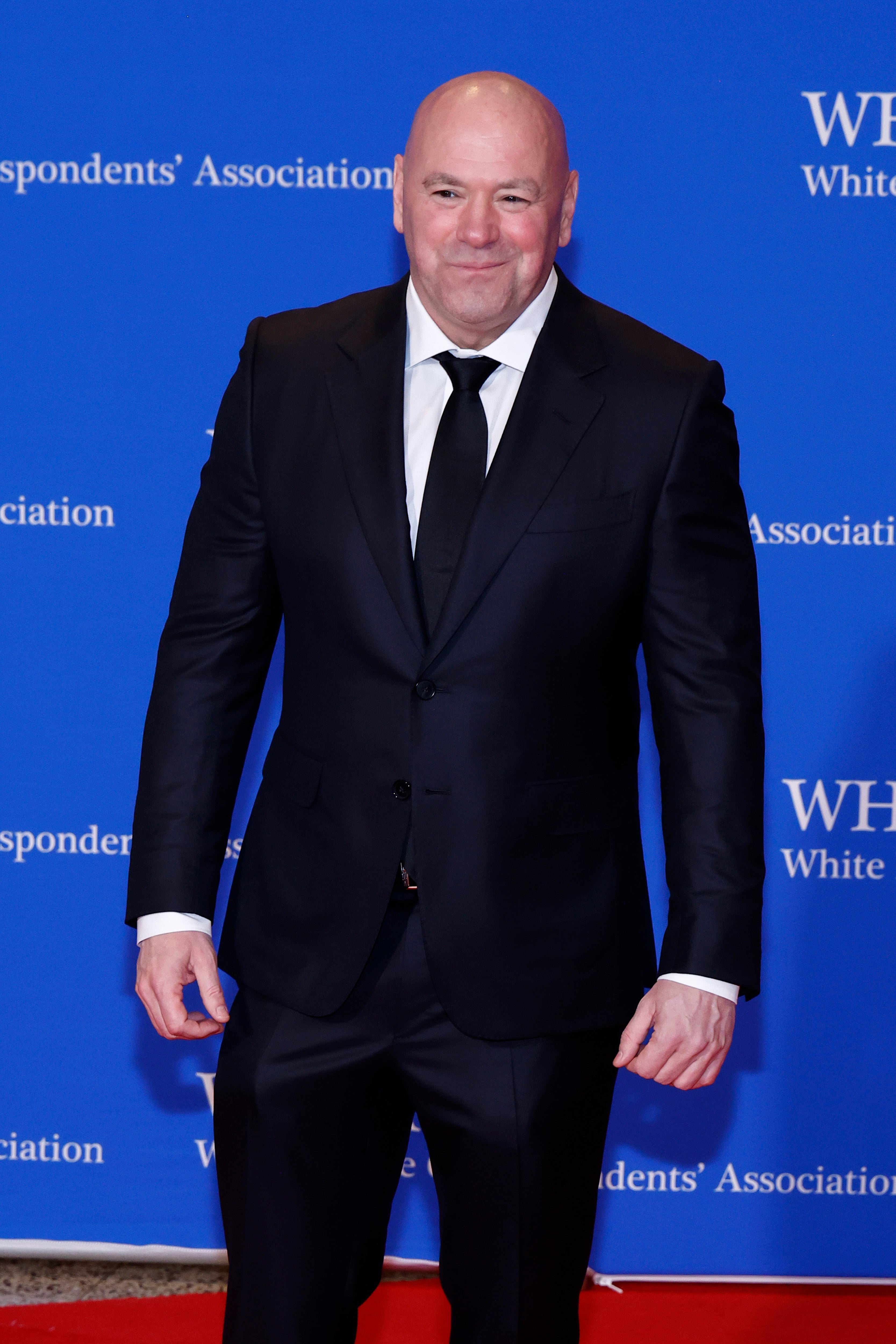 Dana White pictured connected nan reddish carpet anterior to attending nan correspondance dinner