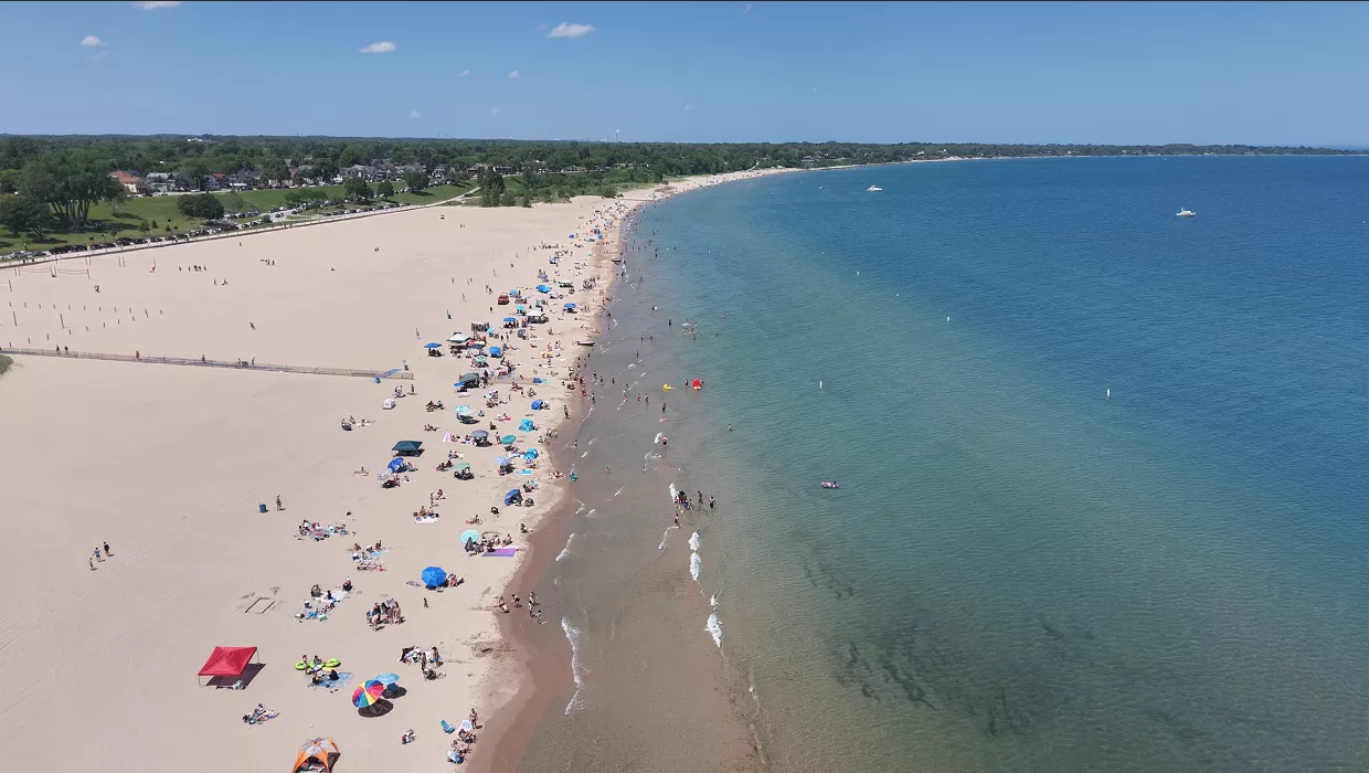 The victim claims that Norton cut him off, as they left North Beach with their girlfriend on April 23