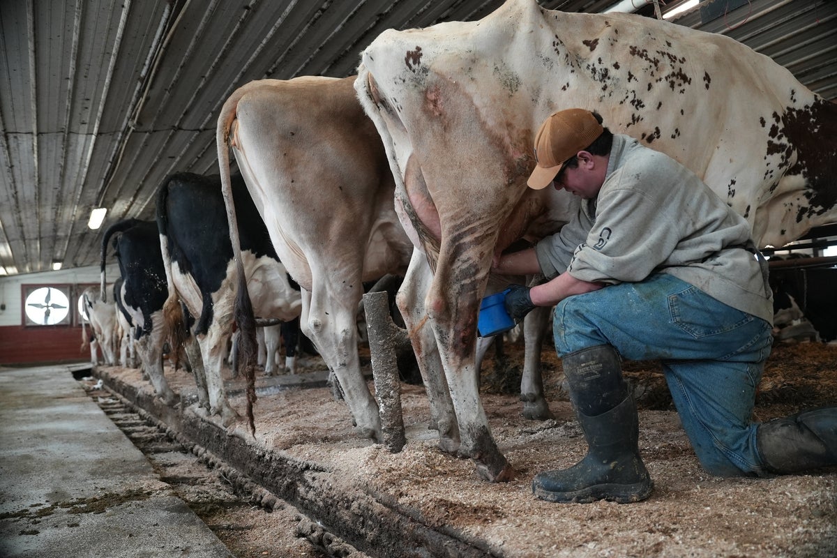 Push For Raw Milk Intensifies Across The Us, Despite Illness Outbreaks And Scientists' Warnings