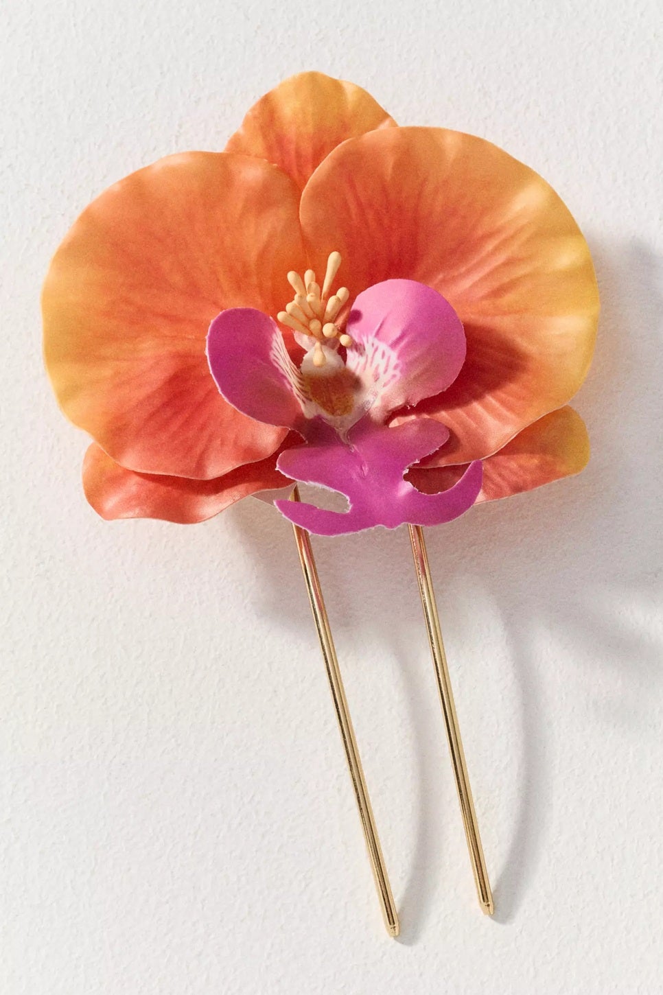 (Anthropologie/PA)