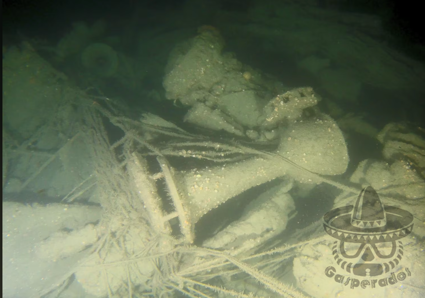 Divers Find Missing Wreck Of The Biggest Us Navy Loss Of World War I More Than A Century Later
