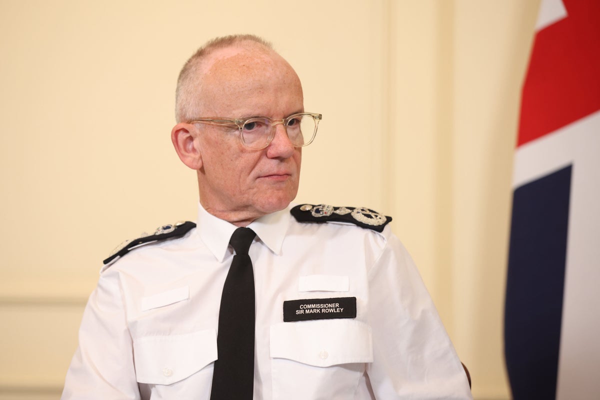 Pro-Palestine protest organisers slam Met Police chief over ‘defamatory’ synagogue march route claims