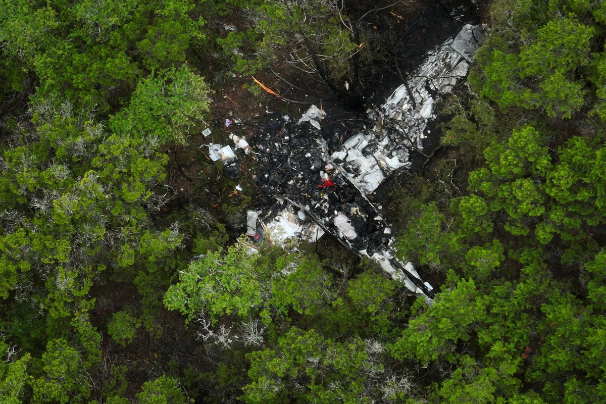 Pilot made frantic call to air traffic control before plane crash that killed five near Austin