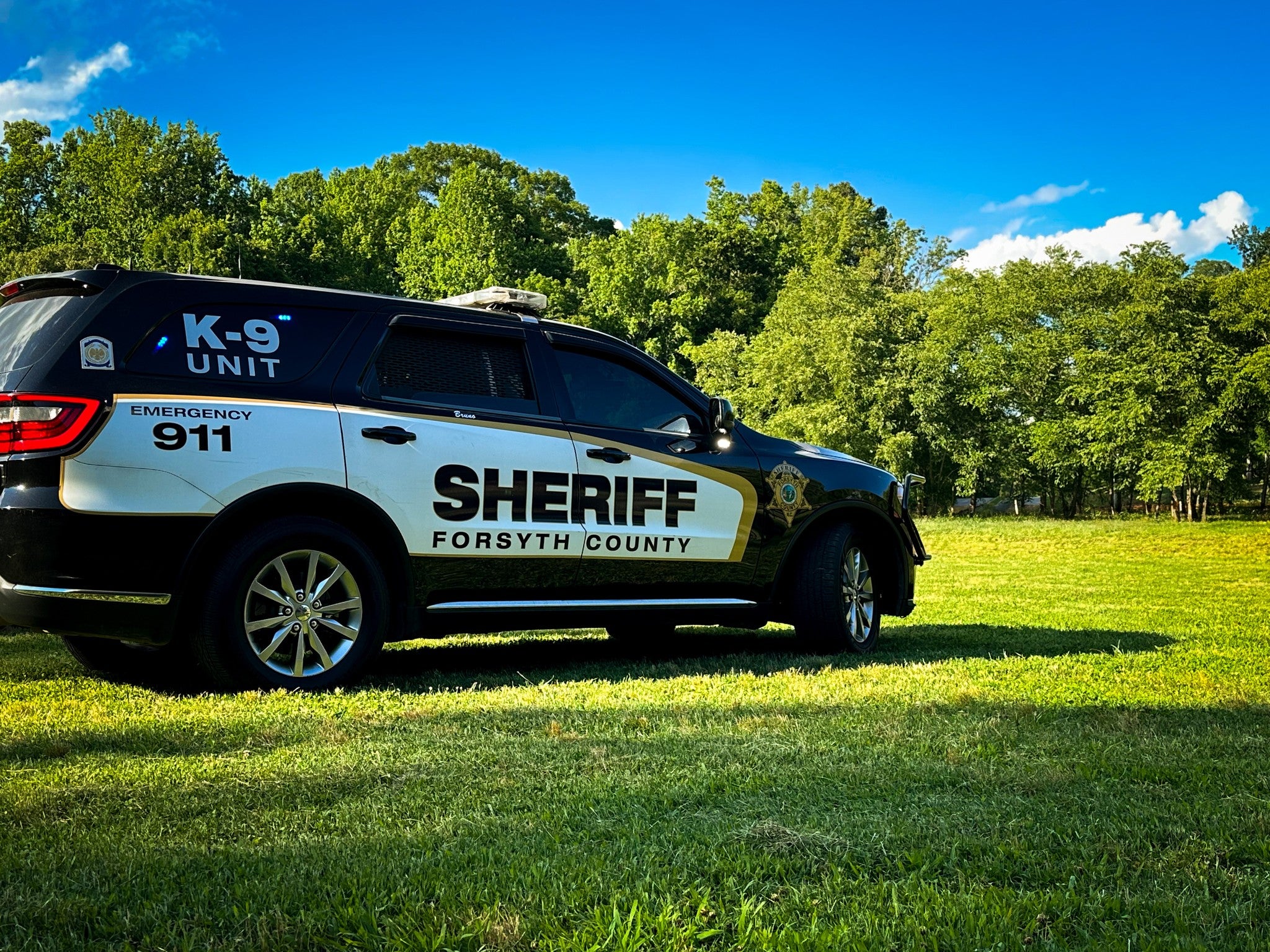 Cops Appeal For Witnesses After Boy, 16, And His Pet Dog Shot Dead: ’there Is A Monster Among Us’