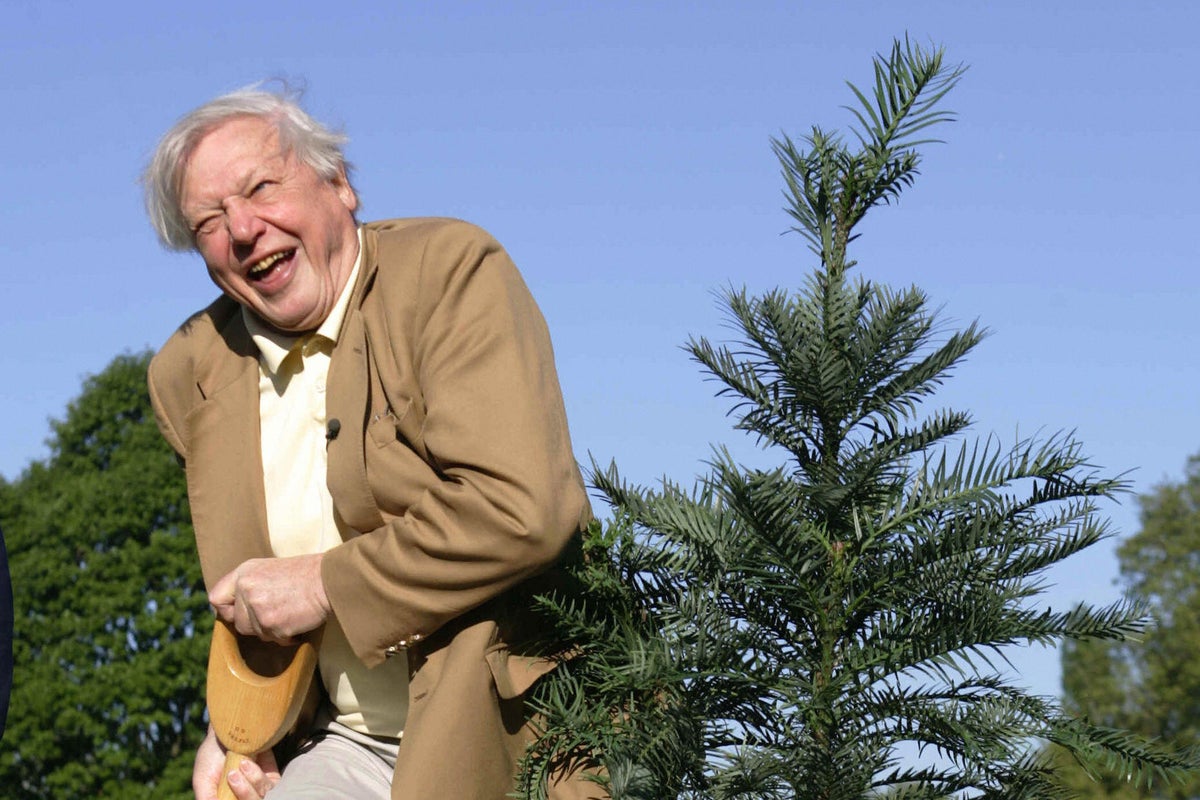 Sir David Attenborough at 100: The many species of plants and animals named after the revered naturalist
