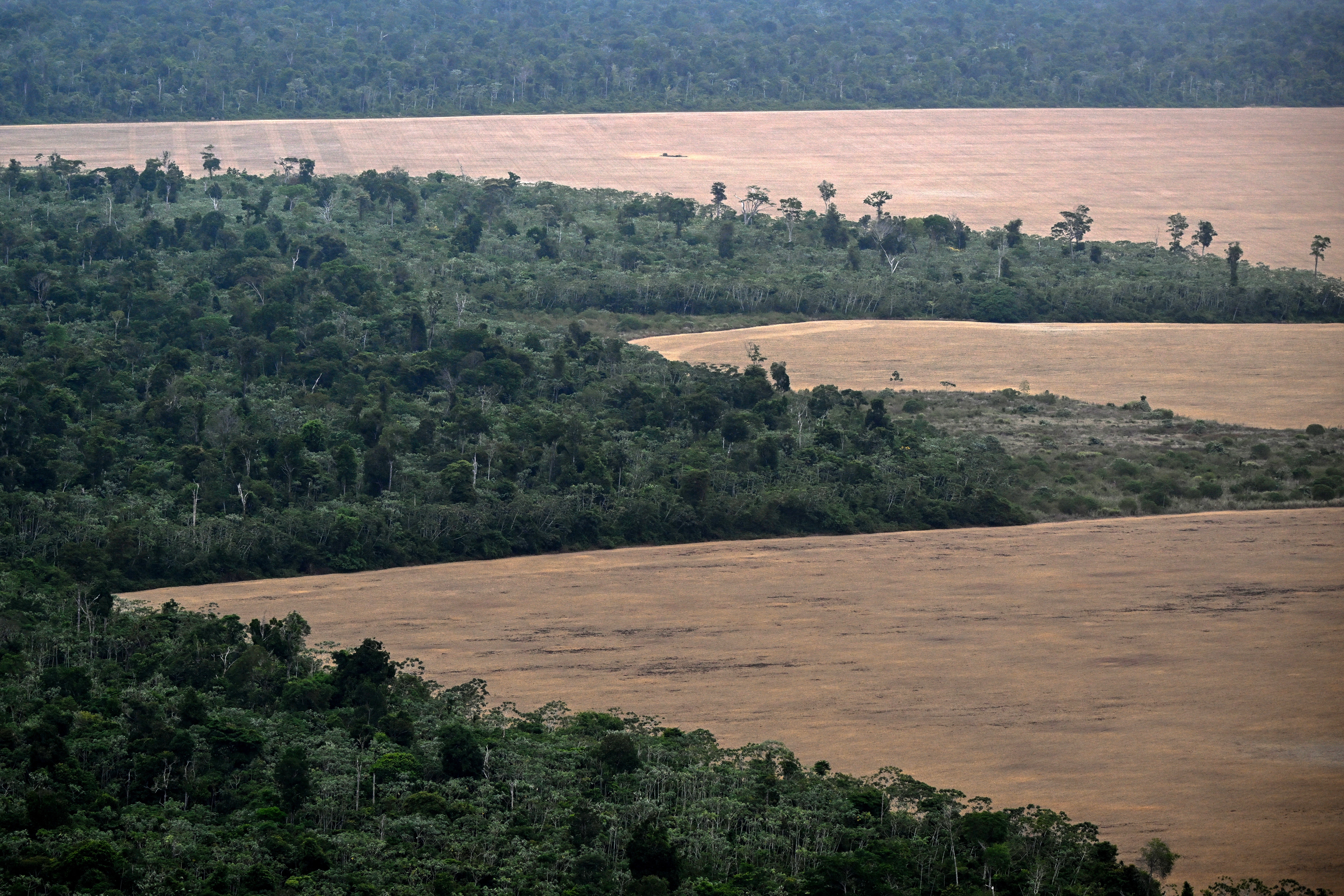 In 2023, Amazon Conservation teamed up pinch Earth Genome and nan Pulitzer Center to create nan Amazon Mining Watch, a level that uses outer imagery to way mining crossed nan Amazon since 2018