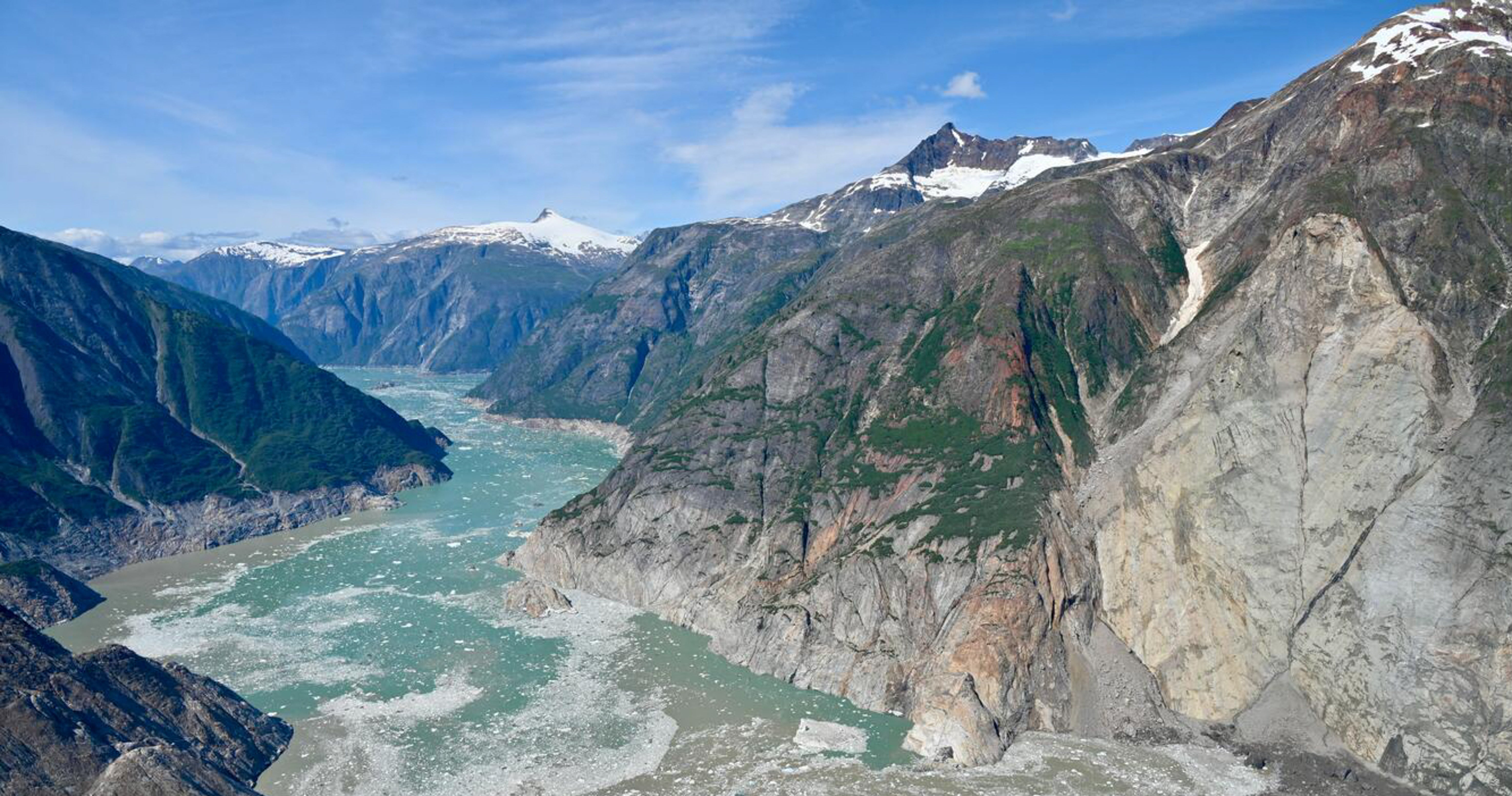 The aftermath of a tsunami that occurred 3 days earlier, wrong nan Tongass National Forest, southbound of Juneau, Alaska