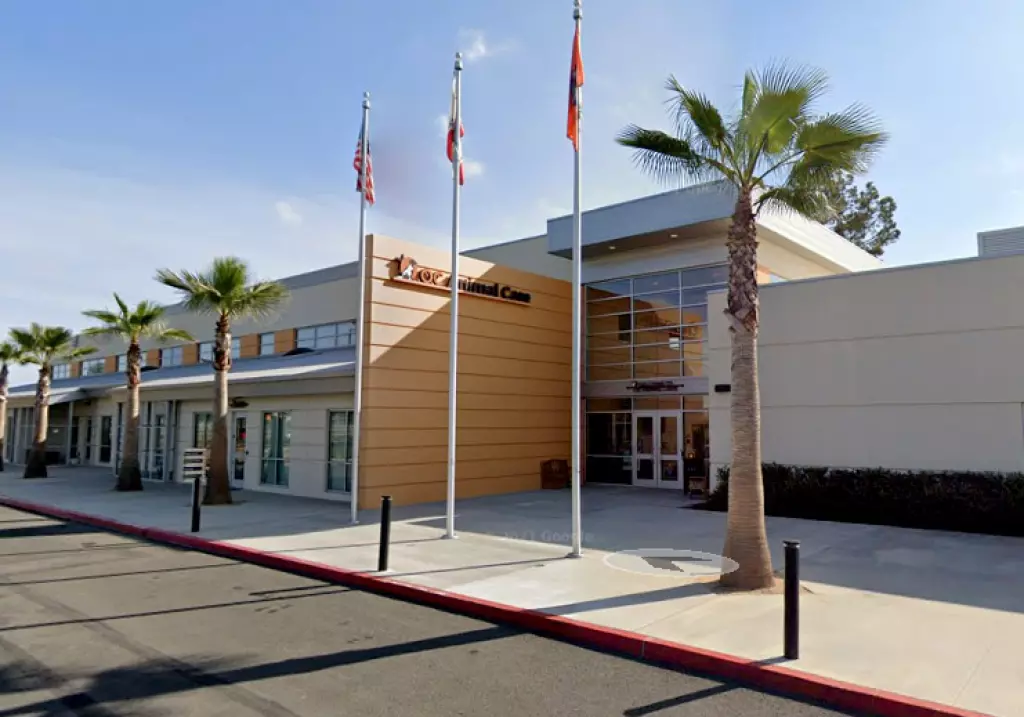 Volunteer At Shelter Paid $450,000 After A Dog Bit Her 18 Times Causing ‘severe And Permanent’ Injuries