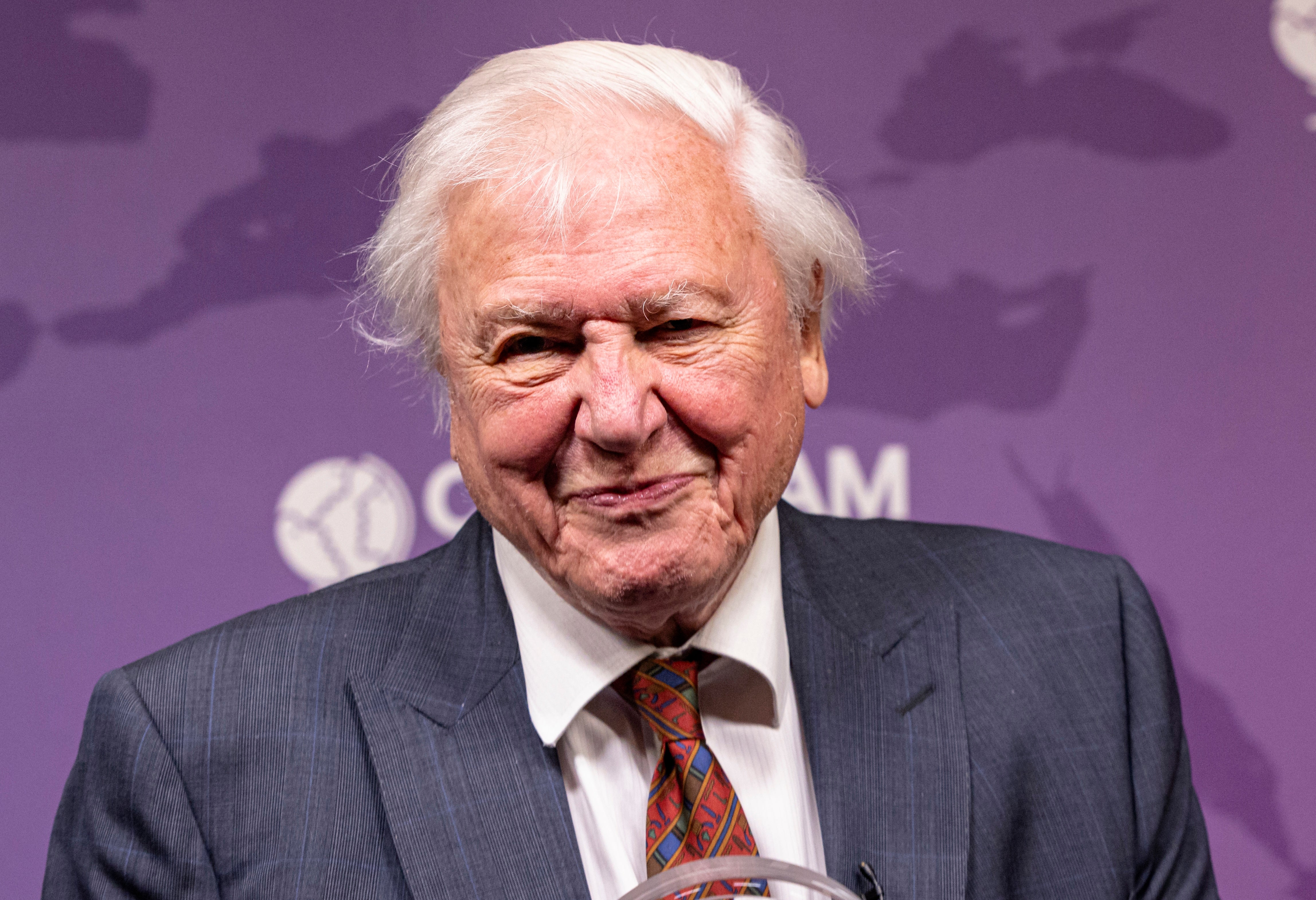 David Attenborough live: 100th birthday of TV icon to be celebrated with special BBC show at Royal Albert Hall
