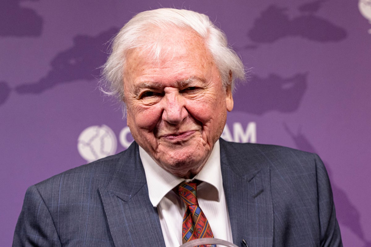 David Attenborough live: 100th birthday of TV icon to be celebrated with special BBC show at Royal Albert Hall