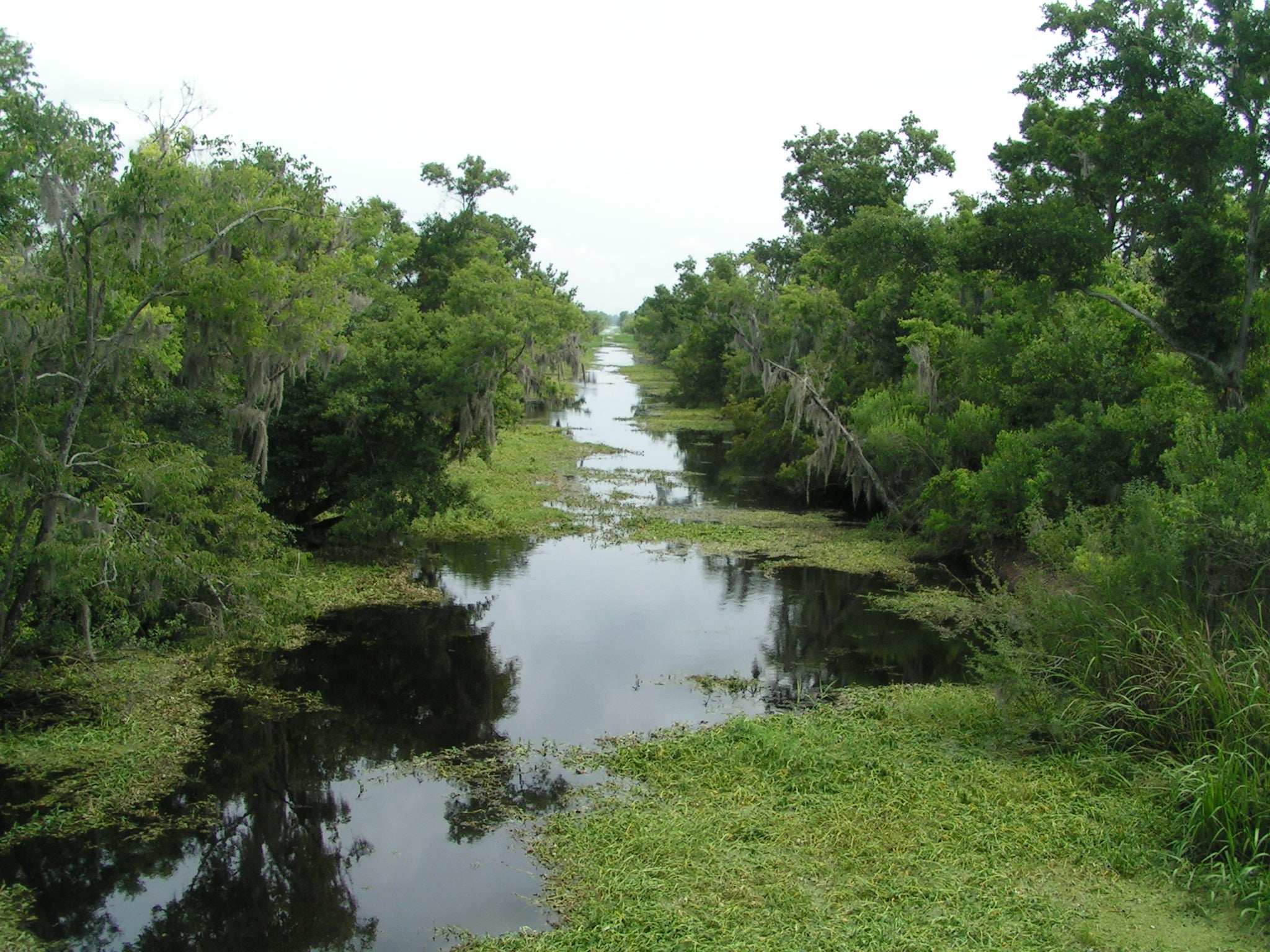 Hunting is presently allowed crossed astir 51 cardinal National Park Service acres spanning 76 sites