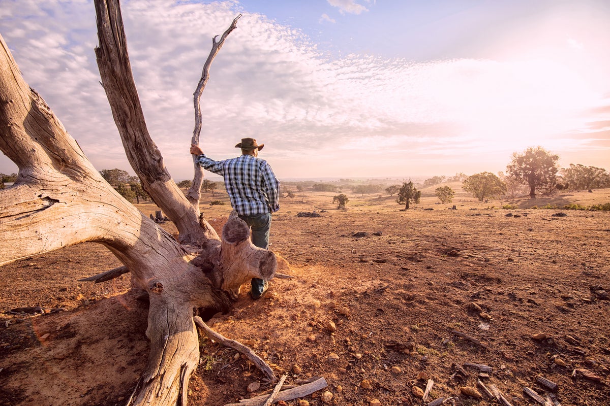 Rare weather pattern ‘Godzilla’ El Niño could make next year hottest on record