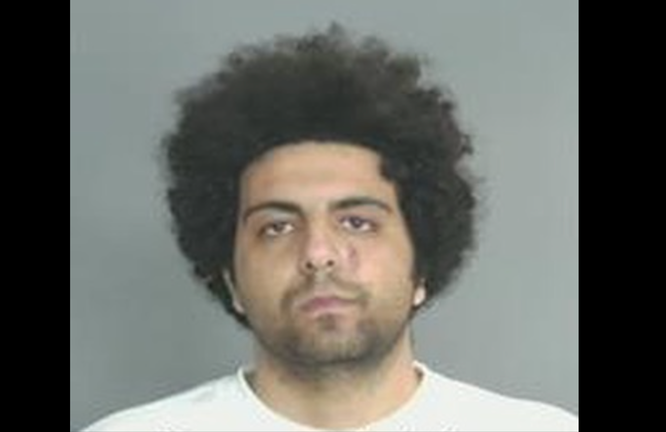 Ramy Fahim, 30, initially pleaded not guilty by reason of insanity to the killings of Griffin Cuomo and his roommate Johnathan Bahm at their California apartment in April 2022. Prosecutors claimed he murdered the pair after becoming sick of being micromanaged at work by Cuomo