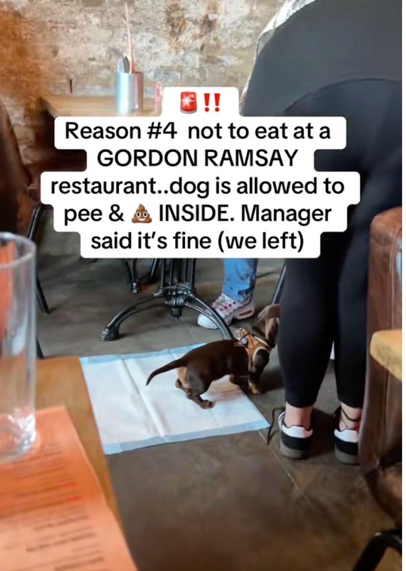 Post image 3