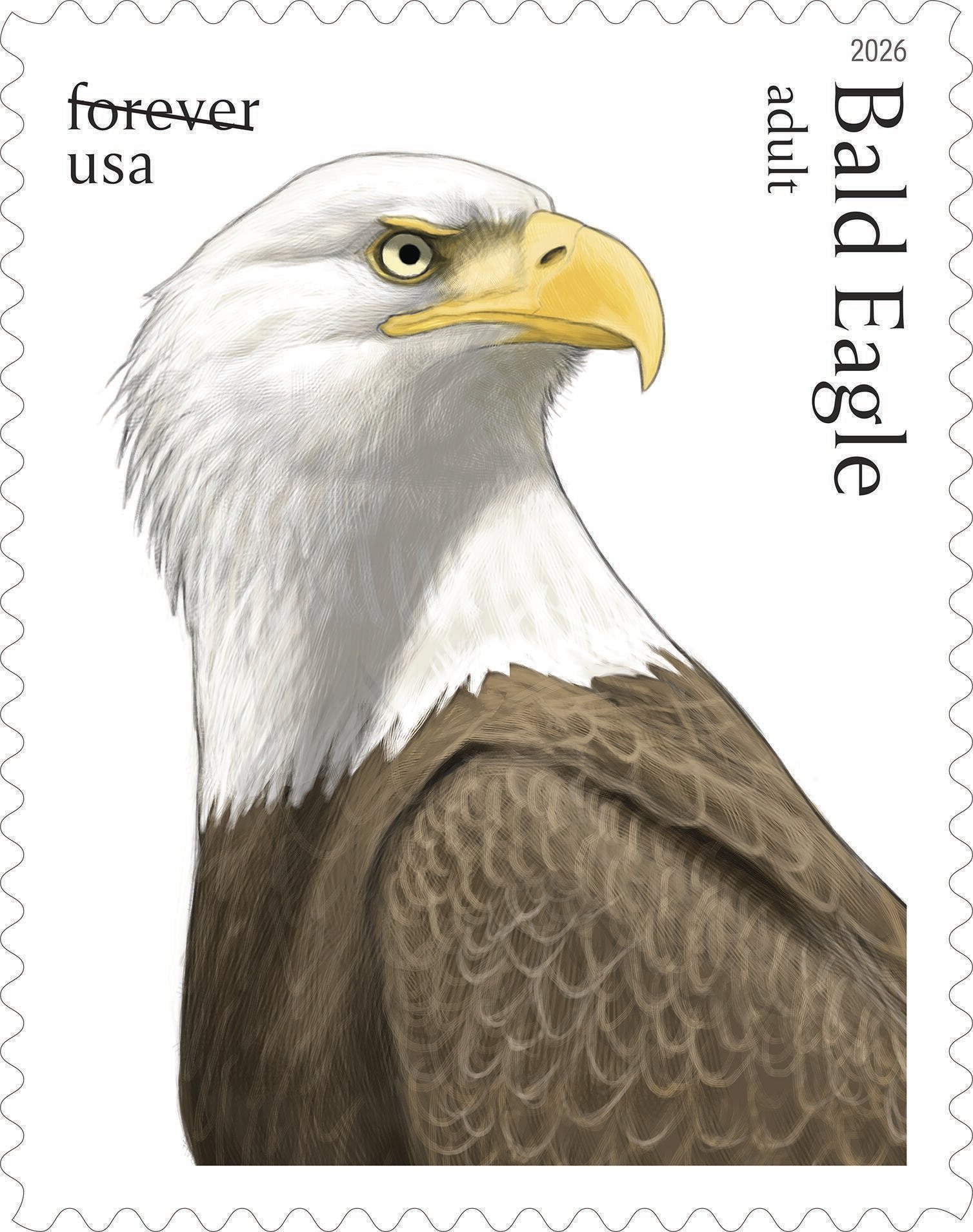 The bald eagle has been a nationalist emblem since Congress adopted nan Great Seal successful 1782