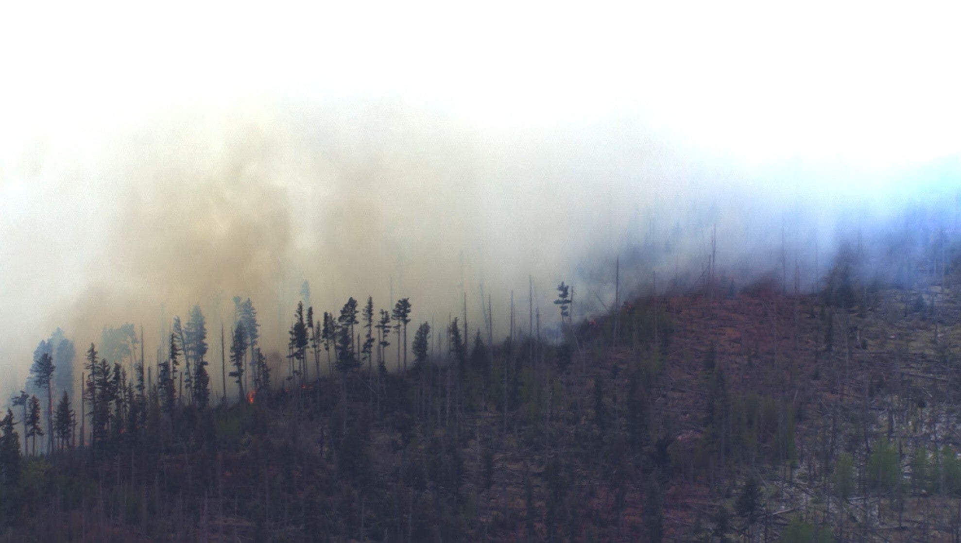 Smoke rises aft a mini aesculapian level collapsed successful a upland scope extracurricular Ruidoso, New Mexico, connected Thursday, May 14